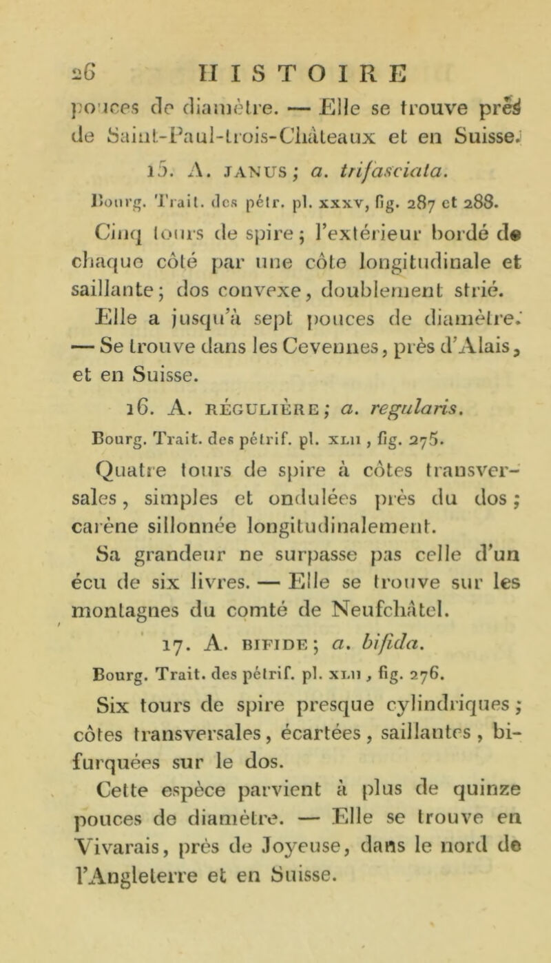 pouces do diamètre. — Elle se trouve pré^ de Saiut-Paul-Lrois-Cliàteaux et en Suisse.1 i5. A. Janus; a. trifasciata. Bourg. Trait, des pétr. pl. xxxv, fig. 287 et 288. Cinq tours de spire; l’extérieur bordé de chaque côté par une côte longitudinale et saillante; dos convexe, doublement strié. Elle a jusqu’à sept pouces de diamètre.' — Se trouve dans les Cevennes, près d’Alais, et en Suisse. 16. A. régulière; a. regularis. Bourg. Trait, des pélrif. pl. xm , fig. 275. Quatre tours de spire à côtes transver- sales , simples et ondulées près du dos ; carène sillonnée longitudinalement. Sa grandeur ne surpasse pas celle d’un écu de six livres. — Elle se trouve sur les montagnes du comté de Neufchâtel. 17. A. bifide; a. bificla. Bourg. Trait, des pélrif. pl. xi.11, fig. 276. Six tours de spire presque cylindriques ; côtes transversales, écartées, saillantes, bi- furquées sur le dos. Celte espèce parvient à plus de quinze pouces de diamètre. — Elle se trouve en Vivarais, près de Joyeuse, dans le nord de l'Angleterre et en Suisse.