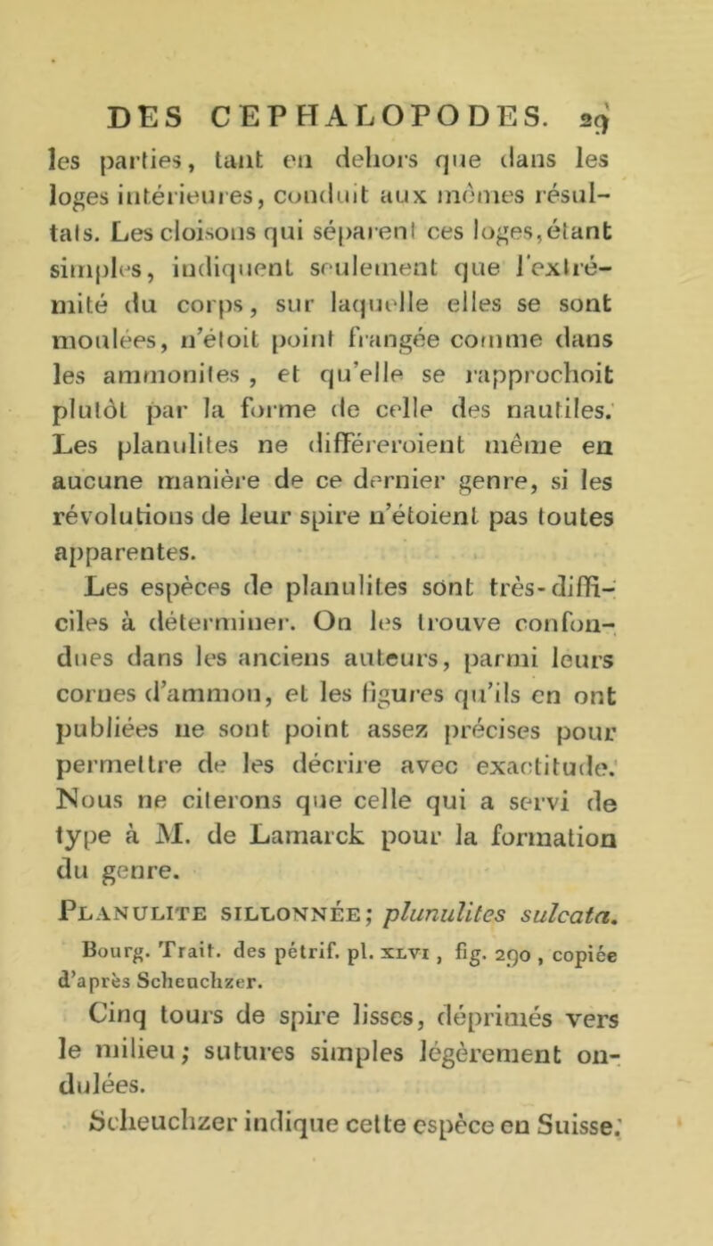 les parties, tant en dehors que dans les loges intérieures, conduit aux mêmes résul- tats. Les cloisons qui séparent ces loges,étant simples, indiquent seulement que l'extré- mité du corps, sur laquelle elles se sont moulées, n’éloit point frangée comme dans les ammonites , et qu’elle se rapprochoit plutôt par la forme de celle des nautiles. Les planulites ne différeroient même en aucune manière de ce dernier genre, si les révolutions de leur spire 11’étoienl pas toutes apparentes. Les espèces de planulites sont très-diffi- ciles à déterminer. On les trouve confon- dues dans les anciens auteurs, parmi leurs cornes d’ammon, et les figures qu’ils en ont publiées ne sont point assez précises pour permettre de les décrire avec exactitude. Nous ne citerons que celle qui a servi de type à M. de Lamarck pour la formation du genre. Planulite sillonnée; plunulites sulcata. Bourg. Trail. des pétrif. pl. xlvi , fig. 2j)o , copiée d’après Schcuchzer. Cinq tours de spire lisses, déprimés vers le milieu; sutures simples légèrement on- dulées. Scheuchzer indique cette espèce en Suisse;