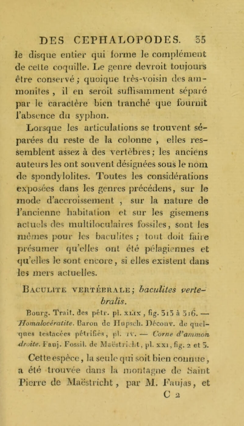 le disque entier qui forme Je complément de celte coquille. Le genre devrait toujours être conservé ; quoique très-voisin des am- monites , il en seroit suffisamment séparé par le caractère bien tranché que fournit l’absence du syphon. Lorsque les articulations se trouvent sé- parées du reste de la colonne , elles res- semblent assez à des vertèbres; les anciens auteurs les ont souvent désignées sous le nom de spondylolites. Toutes les considérations exposées dans les genres précédons, sur le mode d’accroissement , sur la nature de l’ancienne habitation et sur les gisemens actuels des multiloculaires fossiles, sont les memes pour les baculites ; tout doit faire présumer qu’elles ont été pélagiennes et qu’elles le sont encore, si elles existent dans les mers actuelles. Baculite vertébrale; baculites verte- bralis. Bourg. Trait, des pétr. pl. xlix , fig. 5i3 à 3i6. — Homalocéralite. Caron de IIupscli. Jléconv. de quel- ques tcstacécs pétrifiés, pl. jv.— Corne (Tantmon droite. Fanj. Fossil. de Maëstrielil, pl. xxi,fig. 2 et 3. Cetteespèce, la seule qui soit bien connue, a été trouvée dans la montagne de Saint Pierre de Maëstricht, par M. Faujas, et C 2