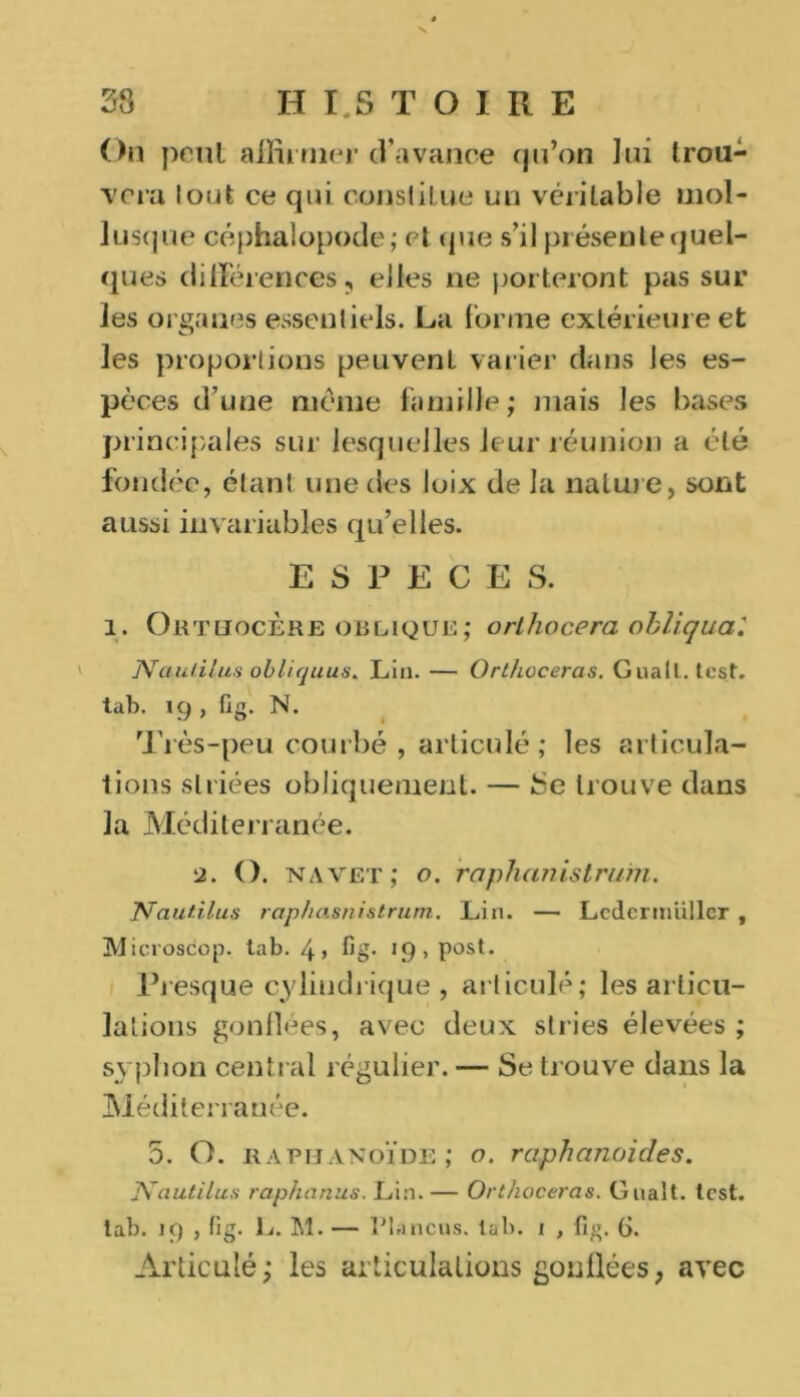 On peut affirmer d’avance qu’on lui trou- vera tout ce qui constitue un véritable mol- lusque céphalopode; et que s’il présente quel- ques différences, elles ne porteront pas sur les organes essentiels. La tonne extérieure et les proportions peuvent varier dans les es- pèces d’une meme famille; mais les bases principales sur lesquelles leur réunion a été fondée, étant une des loix de la nature, sont aussi invariables qu’elles. ESPECE S. l. OrthocÈre oblique; orthocera obliquai Naulilus obliquus* Lin. — Orthoceras. Guatl. test, tab. 19 , fig. N. Très-peu courbé , articulé ; les articula- tions striées obliquement. — Se trouve dans la Méditerranée. a. O. navet; o. raphanistrum. Nautilus raphasnistrum. Lin. — Lcdermiillcr , Microsdop. tab. 4> fig* i<),post. Presque cylindrique , articulé; les articu- lations gonflées, avec deux stries élevées ; syphon central régulier. — Se trouve dans la Méditerranée. 5. O. ràpbanoïde; o. raphanoicles. JVautilus raphanus. Lin. — Orthoceras. G liait, lest, tab. 19 j fig. L. M. — Plancus. tab. 1 , fig. 6. Articulé; les articulations gonflées, avec
