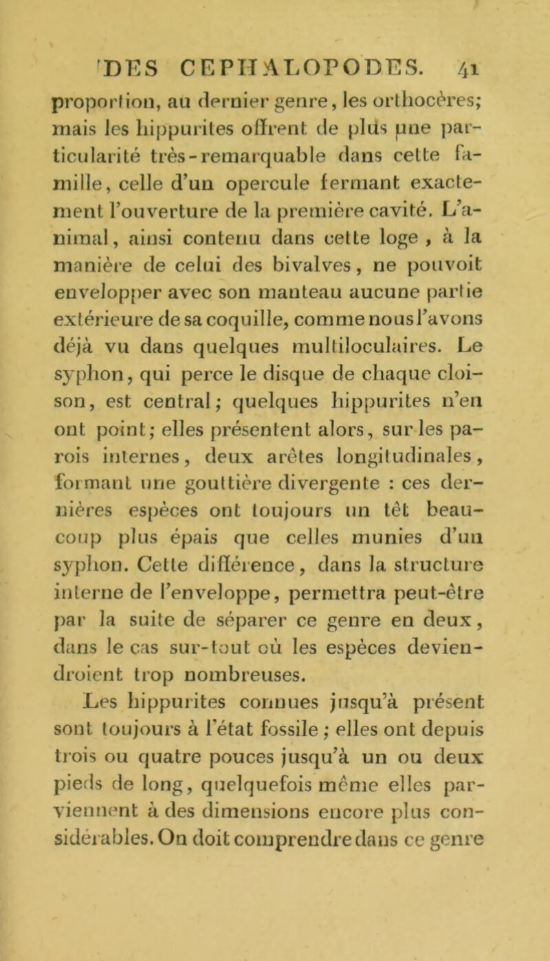 proportion, au dernier genre, les orthocères; mais les hippurites offrent: de plus pne par- ticularité très-remarquable dans cette fa- mille, celle d’un opercule fermant exacte- ment l’ouverture de la première cavité. L’a- nimal, ainsi contenu dans cette loge , à la manière de celui des bivalves, ne pouvoit envelopper avec son manteau aucune partie extérieure de sa coquille, comme nous l’avons déjà vu dans quelques multiloculaires. Le syphon, qui perce le disque de chaque cloi- son, est central; quelques hippurites n’en ont point; elles présentent alors, sur les pa- rois internes, deux arêtes longitudinales, formant une gouttière divergente : ces der- nières espèces ont toujours un têt beau- coup plus épais que celles munies d’un syphon. Cette différence, dans 1a, structure interne de l’enveloppe, permettra peut-être par la suite de séparer ce genre en deux, dans le cas sur-tout où les espèces devien- droient trop nombreuses. Les hippurites connues jusqu’à présent sont toujours à l'état fossile ; elles ont depuis trois ou quatre pouces jusqu’à un ou deux pieds de long, quelquefois même elles par- viennent à des dimensions encore plus con- sidérables.On doit comprendre dans ce genre