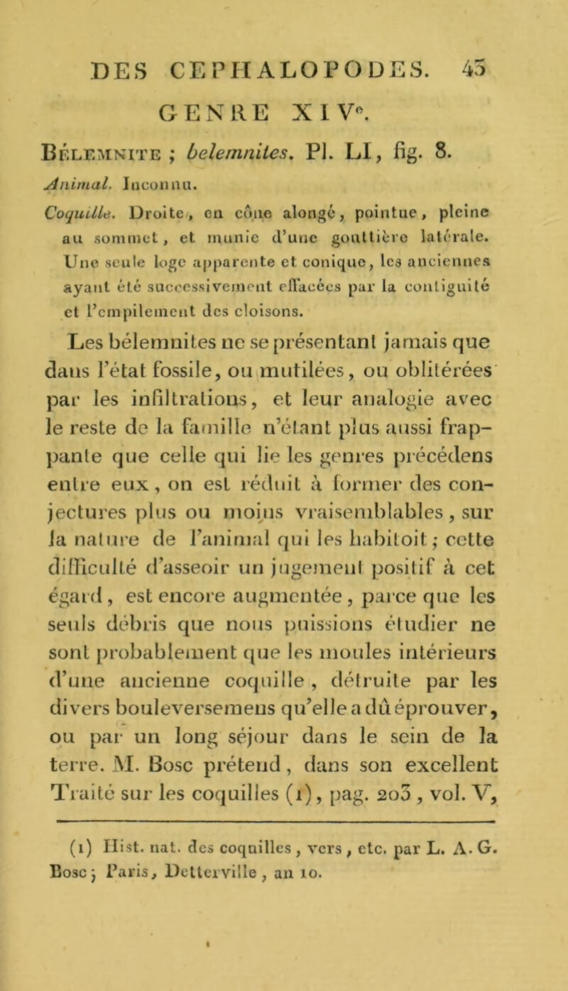 GENRE XI V*. BÉlemnite ,* belemnites. PI. L»I, fig. 8. Animal. Inconnu. Coquille. Droite, en cône alongé, pointue, pleine au sommet, et munie d’une gouttière latérale. Une seule loge apparente et conique, Ica anciennes ayant été successivement effacées par la contiguïté et l’empilement des cloisons. Les bélemnites 11e se présentant jamais que dans l’état fossile, ou mutilées, ou oblitérées par les infiltrations, et leur analogie avec le reste de la famille n’étant plus aussi frap- pante que celle qui lie les genres précédens entre eux, on est réduit à former des con- jectures plus ou moins vraisemblables , sur la nature de l’animal qui les habitoit; celte difficulté d’asseoir un jugement positif à cet égard, est encore augmentée, parce que les seuls débris que nous puissions étudier ne sont probablement que les moules intérieurs d’une ancienne coquille , détruite par les divers bouleversemeus qu’elleaduéprouver, ou par un long séjour dans le sein de la terre. M. Pose prétend, dans son excellent Traité sur les coquilles (i), pag. 2o5 , vol. V, (1) Hist. nat. des coquilles , vers , etc. par L. A. G. Eoscj Paris, Detterville, au 10.