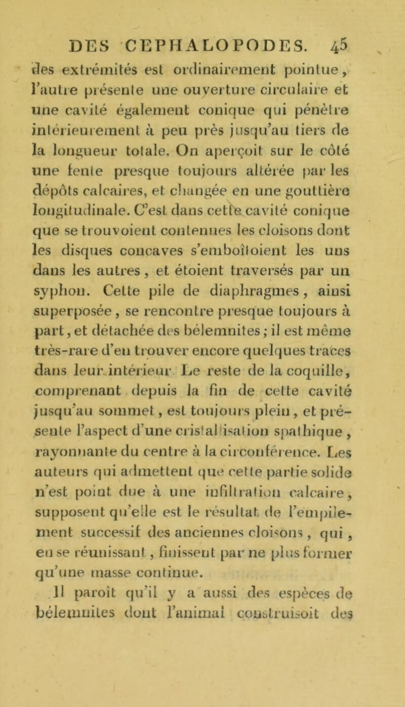 ries extrémités est ordinairement pointue, l’autre présente une ouverture circulaire et une cavité également conique qui pénètre intérieurement à peu près jusqu’au tiers de la longueur totale. On aperçoit sur le côté une fente presque toujours altérée par les dépôts calcaires, et changée en une gouttière longitudinale. C’est dans cette cavité conique que se trouvoient contenues les cloisons dont les disques concaves s’emboîloient les uns dans les autres, et étoient traversés par un syphon. Celte pile de diaphragmes, ainsi superposée, se rencontre presque toujours à part, et détachée des bélemnites ; il est même très-rare d’en trouver encore quelques traces dans leur intérieur Le reste de la coquille, comprenant depuis la fin de celte cavité jusqu’au sommet, est toujours plein , et pré- seule l’aspect d’une cristallisation spalhique, rayonnante du centre à la circonférence. Les auteurs qui admettent que cette partie solide n’est point, due à une infiltration calcaire, supposent qu’elle est le résultat, de l’empile- ment successif des anciennes cloisons, qui , eu se réunissant, finissent par ne plus former qu’une masse continue. il paroit qu’il y a aussi des espèces de bélemnites dont l’animal construisoit des