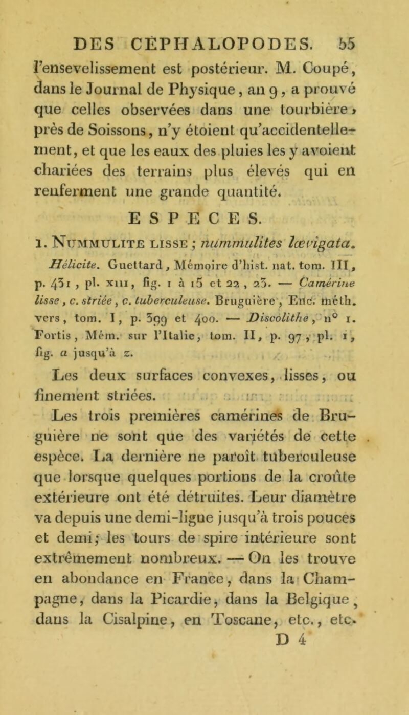 l’ensevelissemeut est postérieur. M. Coupé, dans le Journal de Physique, an g, a prouvé que celles observées dans une tourbière > près de Soissons, n’y étoient qu’accidentelle- ment, et que les eaux des pluies les y a voient cliariées des terrains plus élevés qui en renferment une grande quantité* ESPECES. 1. Nummulite lisse ; nummulites lœvigata. Uélicite. Guettard , Mémoire d’hist. nat. tom. III, p. 451 , pl. xm, fig. 1 à 15 et 22 , 25. — Camérine lisse, c. striée , c. tuberculeuse. Bruguière , Eue. mélh. vers, tom. I, p. 5pg et 4°°- — Discolithe, n° i. Fortis , Méin. sur ritalie, loin. II, p. 97, pl. 1, fig. a jusqu’à z. Les deux surfaces convexes, lisses, ou finement striées. Les trois premières camérines de Bru- guière ne sont que des variétés de cette espèce. La dernière ne paroît tuberculeuse que lorsque quelques portions de la croûte extérieure ont été détruites. Leur diamètre va depuis une demi-ligue jusqu’à trois pouces et demi* les tours de spire intérieure sont extrêmement nombreux. — On les trouve en abondance en France, dans la Cham- pagne, dans la Picardie, dans la Belgique 5 dans la Cisalpine, en Toscane, etc., etc. D 4