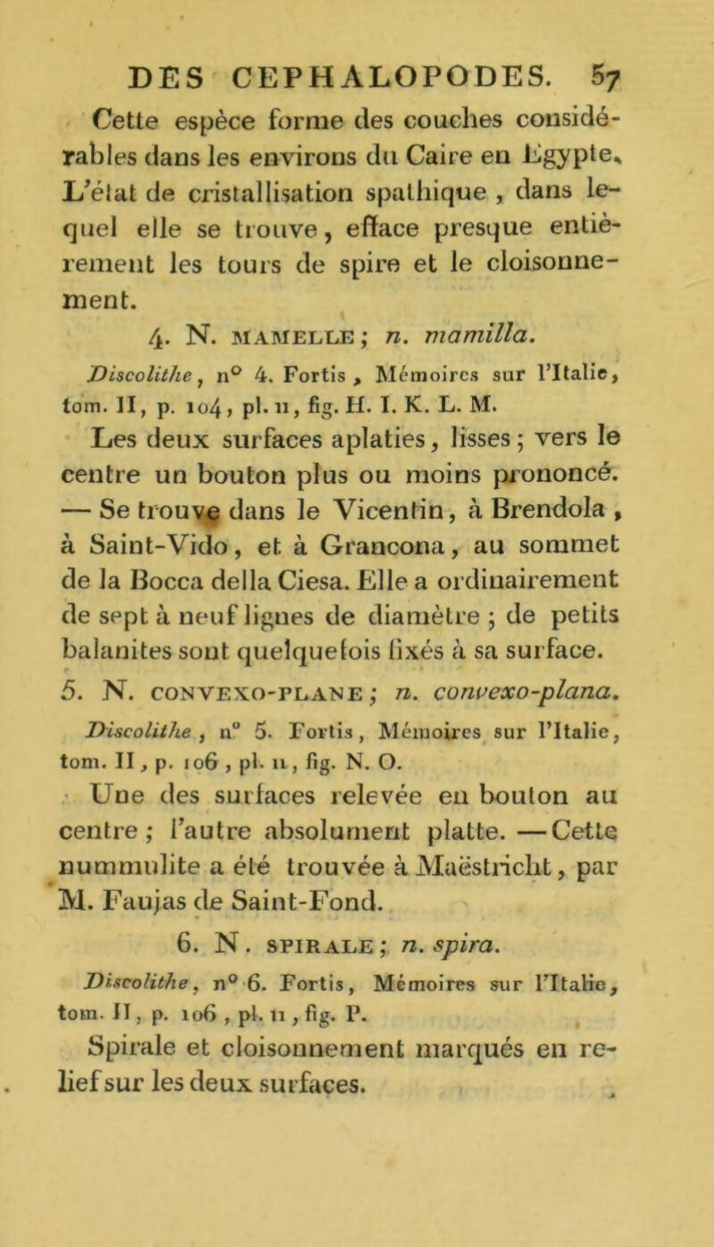 Cette espèce forme des couches considé- rables dans les environs du Caire en Egypte.* L’élat de cristallisation spathique , dans le- quel elle se trouve, efface presque entiè- rement les tours de spire et le cloisonne- ment. % 4. N. mamelle ; n. mamilla. Discolithe, n° 4. Fortis , Mémoires sur l’Italie, tom. Il, p. 104, pl. n, fig. H. I. K. L. M. Les deux surfaces aplaties, lisses; vers le centre un bouton plus ou moins prononcé. — Se trouve dans le Yicentin, à Brendola , à Saint-Vido, et à Grancona, au sommet de la Bocca délia Ciesa. Elle a ordinairement de sept à neuf lignes de diamètre; de petits balanites sont quelquefois fixés à sa surface. p • *■ 5. N. convexo-plane ; n. convexo-plana. Discolithe , n° 5. Fortis, Mémoires sur l’Italie, tom. II, p. 106 , pl- ii, fig. N. O. Une des surfaces relevée eu bouton au centre; l’autre absolument platte.—Cette numnndite a été trouvée à Maëstricht, par M. Faujas de Saint-Fond. 6. N. spirale ; n. spira. Discolithe, n° 6. Fortis, Mémoires sur Fltalic, tom. II, p. 106 , pl. il, fig. P. Spirale et cloisonnement marqués eii re- lief sur les deux surfaces.