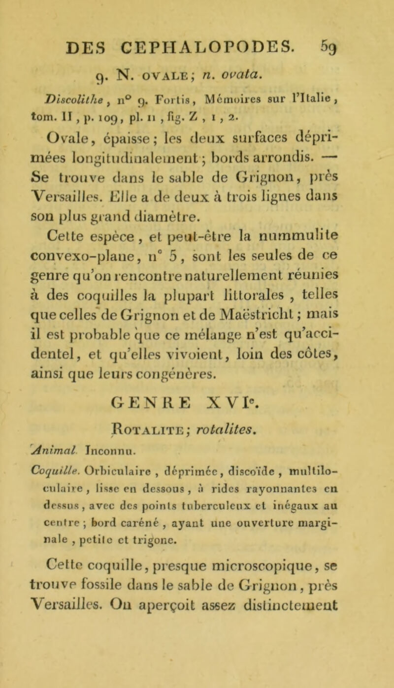 9. N. ovale; n. ovata. Diseolithe , n° 9. Fortis, Mémoires sur l’Italie, tom. II , p. 109, pl. 11 , fig. Z , 1,2. Ovale, épaisse; les deux surfaces dépri- mées longitudinalement ; bords arrondis. — Se trouve dans le sable de Grignon, près Versailles. Elle a de deux à trois lignes dans son plus grand diamètre. Cette espèce , et peut-être la nummulite convexo-plane, n° 5, sont les seules de ce genre qu’on rencontre naturellement réunies à des coquilles la plupart littorales , telles que celles de Grignon et de Maëstrichl ; mais il est probable que ce mélange n’est qu’acci- dentel, et qu’elles vivoient, loin des côtes, ainsi que leurs congénères. GENRE XVIe. Rotalite; rotalites. Animal Inconnu. Coquille. Orbiculaire , déprimée, discoïde , multilo- culaire, lisse en dessous, à rides rayonnantes eu dessus, avec des points tuberculeux et inégaux au centre ; bord caréné , aj'ant une ouverture margi- nale , petite et trigonc. Cette coquille, presque microscopique, se trouve fossile dans le sable de Grignon, près Versailles. On aperçoit assez distinctement