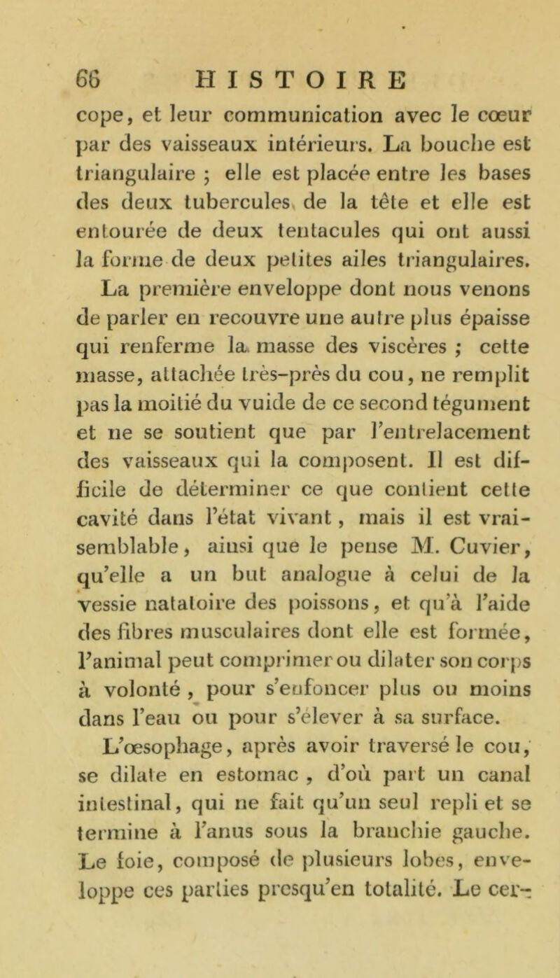 cope, et leur communication avec le cœur par des vaisseaux intérieurs. La bouche est triangulaire ; elle est placée entre les bases des deux tubercules de la tête et elle est entourée de deux tentacules qui ont aussi la forme de deux petites ailes triangulaires. La première enveloppe dont nous venons de parler en recouvre une au Ire plus épaisse qui renferme la masse des viscères ; cette niasse, attachée très-près du cou, ne remplit pas la moitié du vuide de ce second tégument et ne se soutient que par l’entrelacement des vaisseaux qui la composent. Il est dif- ficile de déterminer ce que contient celte cavité dans l’état vivant, mais il est vrai- semblable, ainsi que le pense M. Cuvier, qu’elle a un but analogue à celui de la vessie natatoire des poissons, et qu'à l’aide des libres musculaires dont elle est formée, l’animal peut comprimer ou dilater son corps à volonté , pour s’enfoncer plus ou moins dans l’eau ou pour s’élever à sa surface. L’œsophage, après avoir traversé le cou, se dilate en estomac , d’où part un canal intestinal, qui ne fait qu’un seul repli et se termine à l’anus sous la branchie gauche. Le foie, composé de plusieurs lobes, enve- loppe ces parties prcsqu’en totalité. Le cer-