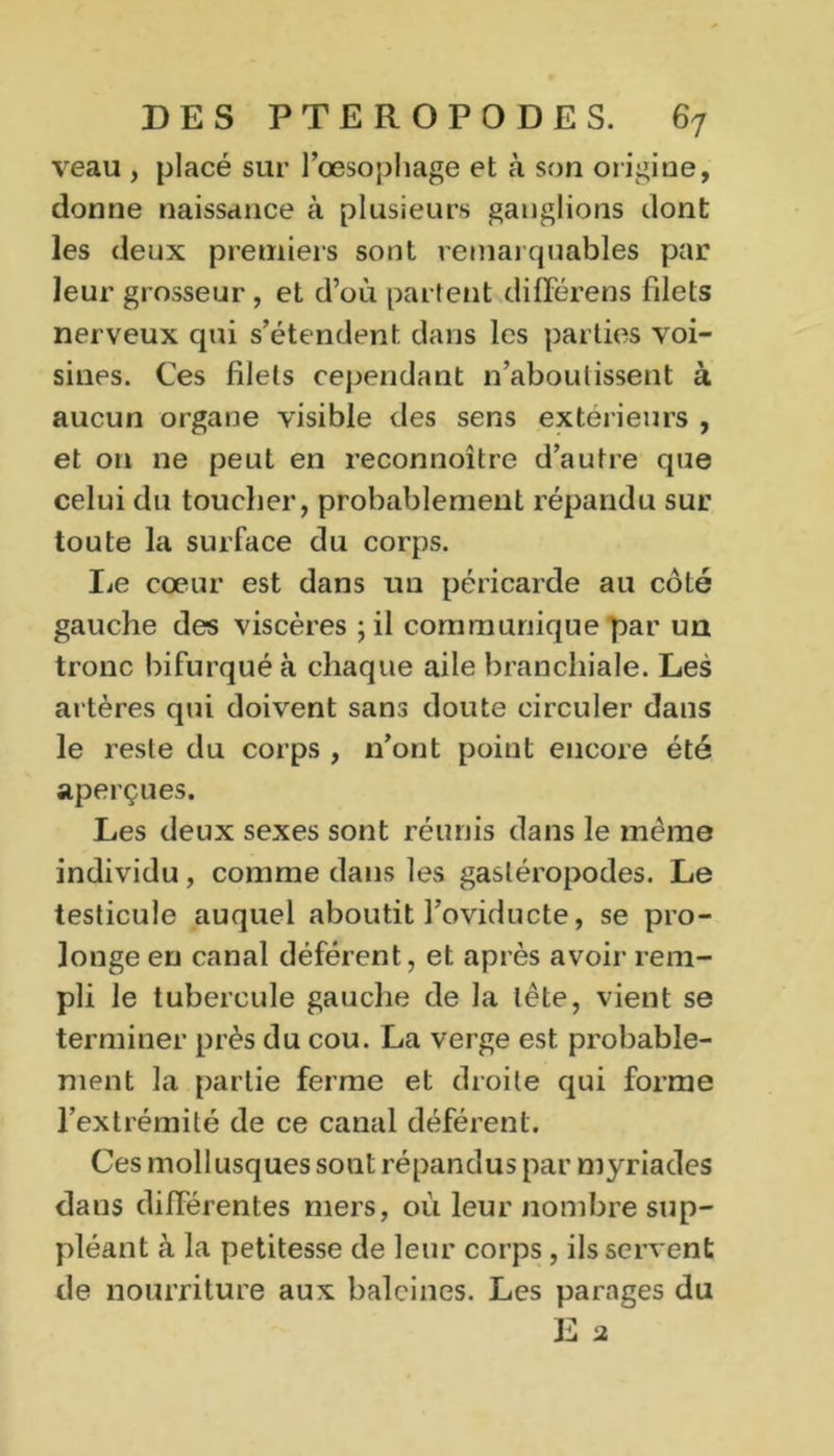 veau , placé sur 1 œsophage et à son origine, donne naissance à plusieurs ganglions dont les deux premiers sont remarquables par leur grosseur, et d’où partent diflférens filets nerveux qui s’étendent dans les parties voi- sines. Ces filets cependant n’aboutissent à aucun organe visible des sens extérieurs , et on ne peut en reconnoître d’autre que celui du toucher, probablement répandu sur toute la surface du corps. Le cœur est dans un péricarde au coté gauche des viscères ; il communique par un tronc bifurqué à chaque aile branchiale. Les artères qui doivent sans doute circuler dans le reste du corps , n’ont point encore été aperçues. Les deux sexes sont réunis dans le meme individu, comme dans les gastéropodes. Le testicule auquel aboutit l’oviducte, se pro- longe en canal déférent, et après avoir rem- pli le tubercule gauche de la tête, vient se terminer près du cou. La verge est probable- ment la partie ferme et droite qui forme l’extrémité de ce canal déférent. Ces mollusques sont répandus par myriades dans différentes mers, où leur nombre sup- pléant à la petitesse de leur corps, ils servent de nourriture aux baleines. Les parages du E 2