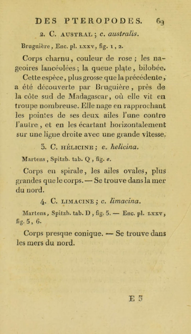 2. C. austral ; c. australïs. Bruguière, Enc. pl. lxxv, fig. 1,2. Corps charnu, couleur de rose; les na- geoires lancéolées ; la queue plqte, bilobée. Cette espèce, plus grosse que la précédente, a été découverte par Bruguière , près de la côte sud de Madagascar, où elle vit en troupe nombreuse. Elle nage en rapprochant les pointes de ses deux ailes l’une contre l’autre , et en les écartant horizontalement sur une ligne droite avec une grande vitesse. 3u C. hÉlicine ; c. helicina. Martens , Spitzb. tab. Q , ttg. e. Corps en spirale, les ailes ovales, plus grandes que le corps. — Se trouve dans la mer du nord. 4. C. limacine ; c. limcicina. Martens, Spitzb. tab. D , fig. 5. — Enc. pl. lxxv, %. 5, 6. Corps presque conique. — Se trouve dan3 les mers du nord.