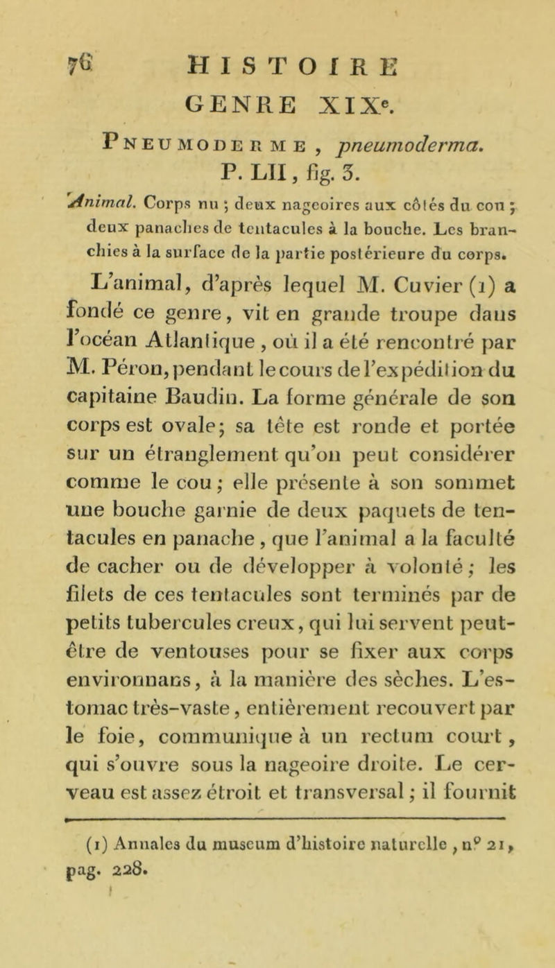 GENRE XIXe. Pneumodeeme , pneumoderma. p. lu , % 3. Animal. Corps nu ; deux nageoires aux côtés du cou ; deux panaches de tentacules à la bouche. Les bran- chies à la surface de la partie postérieure du corps. L’animal, d’après lequel M. Cuvier (ï) a fondé ce genre, vit en grande troupe dans l’océan Atlanlique , où il a été rencontré par M. Pérou,pendant lecours del’expédilion du capitaine Baudin. La forme générale de son corps est ovale; sa tète est ronde et portée sur un étranglement qu’on peut considérer comme le cou; elle présente à son sommet une bouche garnie de deux paquets de ten- tacules en panache , que l'animal a la faculté de cacher ou de développer à volonté; les filets de ces tentacules sont terminés par de petits tubercules creux, qui lui servent peut- être de ventouses pour se fixer aux corps environnans, à la manière des sèches. L’es- tomac très-vaste, entièrement recouvert par le foie, communique à un rectum court, qui s’ouvre sous la nageoire droite. Le cer- veau est assez étroit et transversal ; il fournit (i) Annales du muséum d’histoire naturelle ; ny 21, pag. 228.
