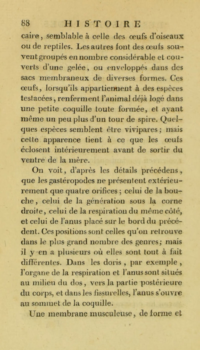 caire j semblable à celle des œufs d’oiseaux ou de reptiles. Les autres font des œufs sou- vent groupés en nombre considérable el cou- verts d’une gelée, ou enveloppés dans des sacs membraneux de diverses formes. Ces œufs, lorsqu’ils appartiennent à des espèces tesfacées, renferment l’animal déjà logé dans une petite coquille toute formée, et ayant meme un peu plus d’un tour de spire. Quel- ques espèces semblent être vivipares; mais celle apparence tient à ce que les œufs éclosent intérieurement avant de sortir du ventre de la mère. On voit, d’après les détails précédens , que les gastéropodes ne présentent extérieu- rement que quatre orifices ; celui de la bou- che , celui de la génération sous la corne droite, celui de la respiration du même côté, et celui de l’anus placé sur le bord du précé- dent. Ces positions sont celles qu’on retrouve dans le plus grand nombre des genres; mais il y en a plusieurs où elles sont tout à fait différentes. Dans les doris , par exemple , l’organe de la respiration et l’anus sont situés nu milieu du dos, vers la partie postérieure du corps, et dans les fissurelles, l’anus s’ouvre au sommet de la coquille. Une membrane musculeuse, de forme et