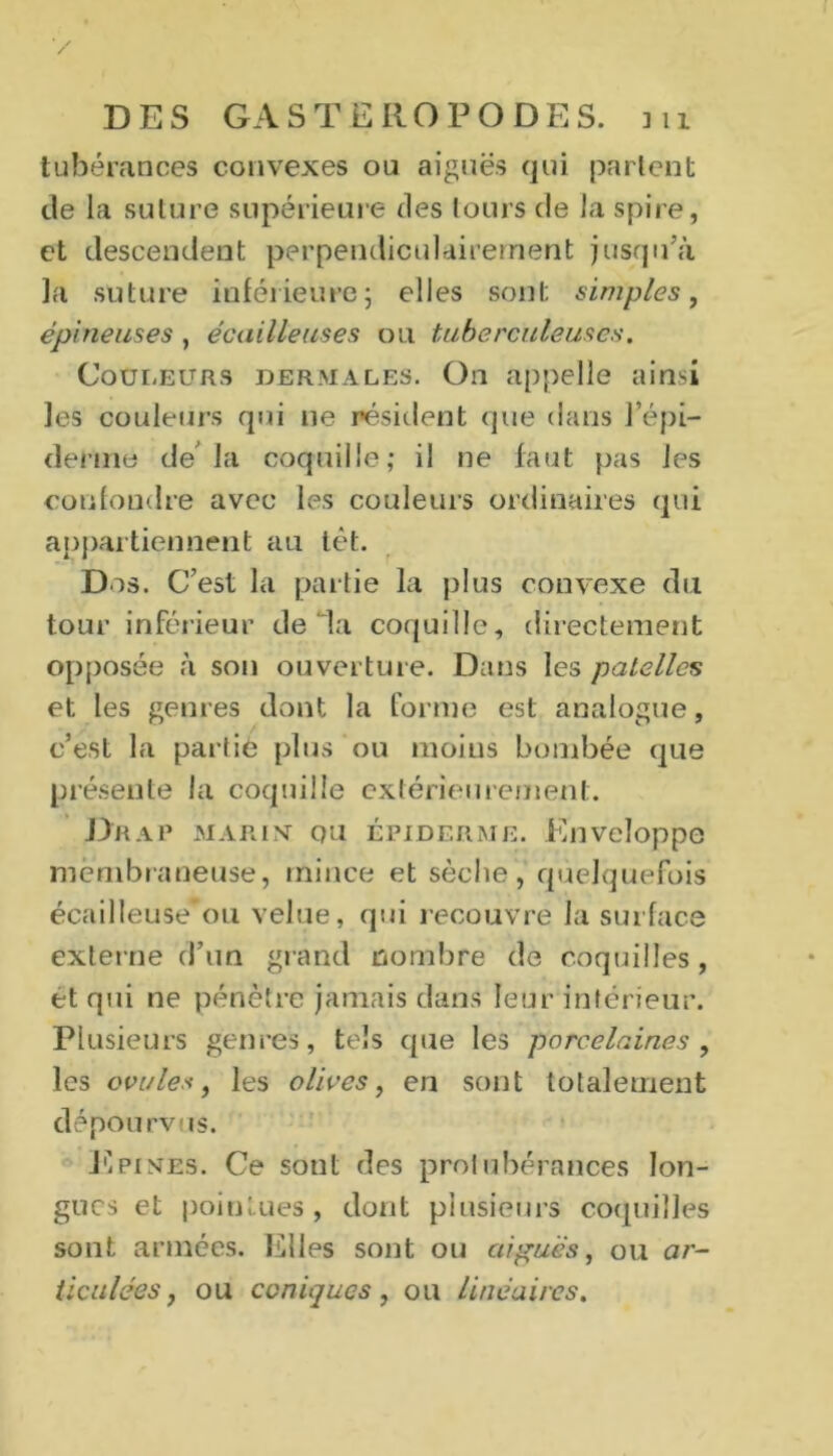 tubérances convexes ou aiguës qui parlent de la suture supérieure des tours de la spire, et descendent perpendiculairement jusqu'à la suture inférieure; elles sont simples, épineuses , écailleuses ou tuberculeuses. Couleurs dermales. On appelle ainsi les couleurs qui 11e résident que dans l’épi- derme de’la coquille; il ne faut pas les confondre avec les couleurs ordinaires qui appartiennent au têt. Dos. C’est la partie la plus convexe du tour inférieur de da coquille, directement opposée à son ouverture. Dans les patelles et les genres dont la forme est analogue, c’est la partie plus ou moius bombée que présente la coquille extérieurement. Drap marust qu épiderme. Enveloppe membraneuse, mince et sèche, quelquefois écailleuse’ou velue, qui recouvre la surface externe cl’im grand nombre de coquilles, et qui ne pénètre jamais dans leur intérieur. Plusieurs genres, tels que les porcelaines, les ovule*, les olives, en sont totalement dépourvus. J*ipistes. Ce sont des protubérances lon- gues et poiulues , dont plusieurs coquilles sont années. Elles sont ou aiguës, ou ar- ticulées, ou coniques, ou linéaires.