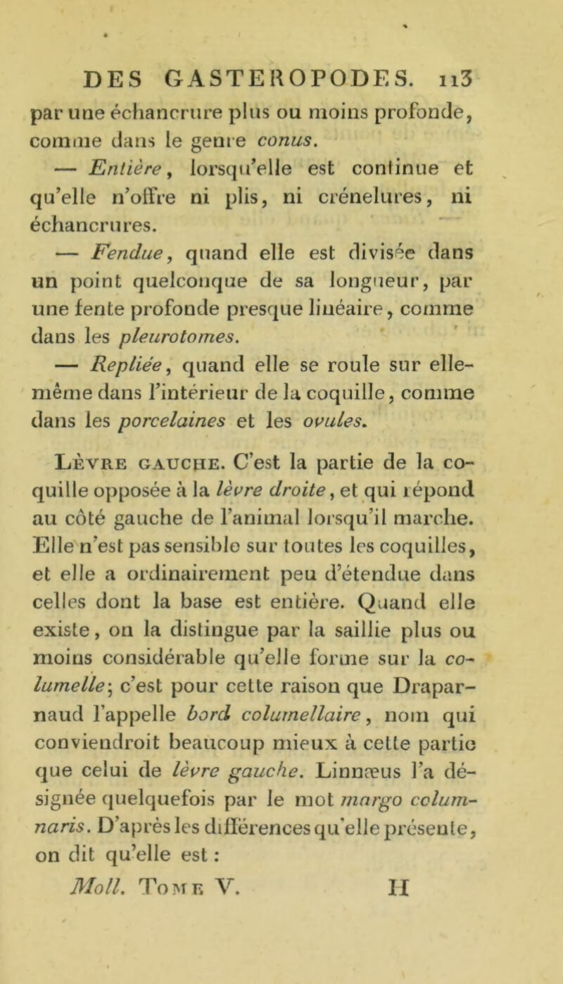 par une échancrure plus ou moins profonde, comme dans le genre conus. — Entière y lorsqu’elle est continue et qu’elle n’offre ni plis, ni crénelures, ni échancrures. — Fendue, quand elle est divisée dans un point quelconque de sa longueur, par une fente profonde presque linéaire, comme dans les pleurotomes. — Repliée y quand elle se roule sur elle- même dans l’intérieur de la coquille, comme dans les porcelaines et les ovules. Lèvre gauche. C’est la partie de la co- quille opposée à la lèvre droite, et qui îépond au côté gauche de l’animal lorsqu’il marche. Elle n’est pas sensible sur toutes les coquilles, et elle a ordinairement peu d’étendue dans celles dont la base est entière. Quand elle existe, on la distingue par la saillie plus ou moins considérable qu’elle forme sur la co- lumelle-y c’est pour cette raison que Drapar- naud l’appelle bord colurnellaire, nom qui conviendroil beaucoup mieux à celle partie que celui de lèvre gauche. Linnæus l’a dé- signée quelquefois par le mot margo cclum- naris. D’après les différences qu elle présente, on dit qu’elle est : Moll. Tome V. II