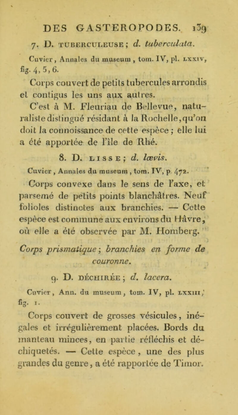 7. D. tuberculeuse; d. tuberculata. Cuvier, Annales du muséum , tom. IV, pl. lxx.iv, fig. 4,5,6. Corps couvert de petits tubercules arrondis et contigus les uns aux autres. C’est à M. Fleuriau de Bellevue, natu- raliste distingué résidant à la Rochelle,qu’on doit la connoissance de cette espèce ; elle lui a été apportée de l ile de Rhé. 8. D. lisse; d. lœvis. Cuvier , Annales du muséum , tom. IV, p 472. Corps convexe dans le sens de Taxe, et parsemé de petits points blanchâtres. Neuf folioles distinctes aux branchies. — Cette espèce est commune aux environs du Havre, où elle a été observée par M. Homberg. Corps prismatique ; branchies en forme de couronne. 9. D. déchirée ; d. lacera. Cuvier, Ann. du muséum, tom. IV, pl. lxxiii,’ fig. 1. Corps couvert de grosses vésicules, iné- gales et irrégulièrement placées. Bords du manteau minces, en partie réfléchis et dé- chiquetés. — Cette espèce , une des plus grandes du genre, a été rapportée de Timor.