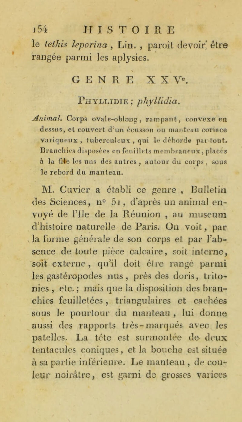 le tethis leporina , Lin. , paioit devoir' êlre . I rangée parmi ]es aplysies. \ m GENRE X X Ve. \ Pu yllidie ; phyllidici. Animal. Corps ovale-oblonji, rampant, convexe en dessus, et couvert d'un écusson ou manteau coriace variqueux, tuberculeux , qui le déborda par-tout. Branchies disposées en feuillets membraneux, placés à la fi*e les uns des autres , autour du corps, sous le rebord du manteau. M. Cuvier a établi ce genre , Bulletin des Sciences, n° 5t , d’après un animal en- voyé de TJle de la Réunion , au muséum d’histoire naturelle de Paris. Ou voit, par „la forme générale de son corps et par l’ab- sence de tonie pièce calcaire, soit interne, soit externe, qu’il doit èlre rangé parmi les gastéropodes nus, près des doris, trito- nies , etc. ; mais que la disposition des bran- chies feuilletées, triangulaires et cachées sous le pourtour du manteau , lui donne aussi des rapports très-marqués avec les patelles. La tète est surmontée de deux tentacules coniques, et la bouche est située à sa partie inférieure. Le manteau , de cou- leur noirâtre, est garni de grosses varices