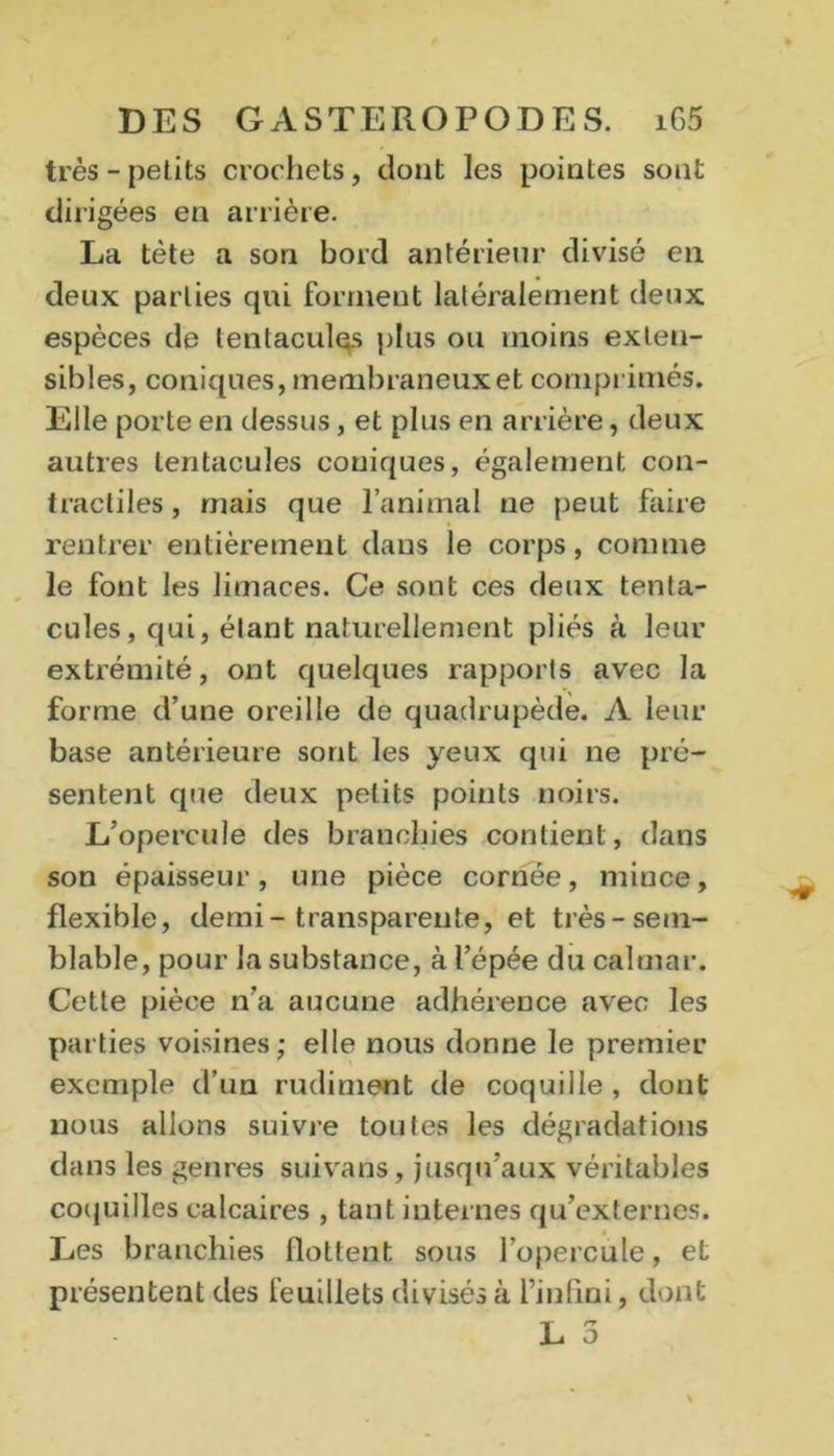 très - petits crochets, dont les pointes sont dirigées en arrière. La tète a son bord antérieur divisé en deux parties qui forment latéralement deux espèces de tentacules plus ou moins exten- sibles, coniques, membraneux et comprimés. Elle porte en dessus, et plus en arrière, deux autres tentacules coniques, également con- tractiles, mais que l’animal ne peut faire rentrer entièrement dans le corps, comme le font les limaces. Ce sont ces deux tenta- cules, qui, étant naturellement pliés à leur extrémité, ont quelques rapports avec la forme d’une oreille de quadrupède. A leur base antérieure sont les yeux qui ne pré- sentent que deux petits points noirs. L’opercule des branchies contient, dans son épaisseur, une pièce cornée, mince, flexible, demi-transparente, et très-sem- blable, pour la substance, à l’épée du calmar. Cette pièce n’a aucune adhérence avec les parties voisines; elle nous donne le premier exemple d’un rudiment de coquille , dont nous allons suivie tontes les dégradations dans les genres suivans, jusqu’aux véritables coquilles calcaires , tant internes qu’externes. Les branchies flottent sous l’opercule, et présentent des feuillets divisés à l’infini, dont