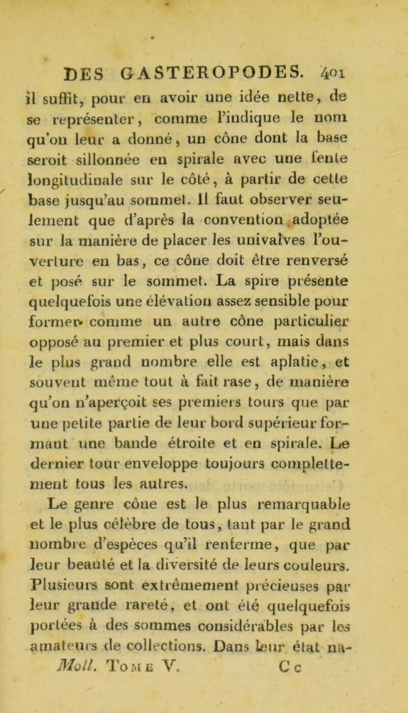 il suffit, pour eu avoir une idée nette, de se représenter, comme l’indique le nom qu’on leur a donné, un cône dont la base seroit sillonnée en spirale avec une lente longitudinale sur le côté, à partir de cette base jusqu’au sommet. 11 faut observer seu- lement que d’après la convention adoptée sur la manière de placer les uuivaîves l'ou- verture en bas, ce cône doit être renversé s et posé sur le sommet. La spire présente quelquefois une élévation assez sensible pour former* comme un autre cône particulier opposé au premier et plus court, mais dans le plus grand nombre elle est aplatie, et souvent même tout à fait rase, de manière qu’on n’aperçoit ses premiers tours que par une petite partie de leur bord supérieur for- mant une bande étroite et en spirale. Le dernier tour enveloppe toujours complette- ment tous les autres. Le genre cône est le plus remarquable et le plus célèbre de tous, tant par le grand nombre d’espèces qu’il renferme, que par leur beauté et la diversité de leurs couleurs. Plusieurs sont extrêmement précieuses par leur grande rareté, et ont été quelquefois portées à des sommes considérables par les amateurs de collections. Dans leur état na- Moll, Tome Y. Ce