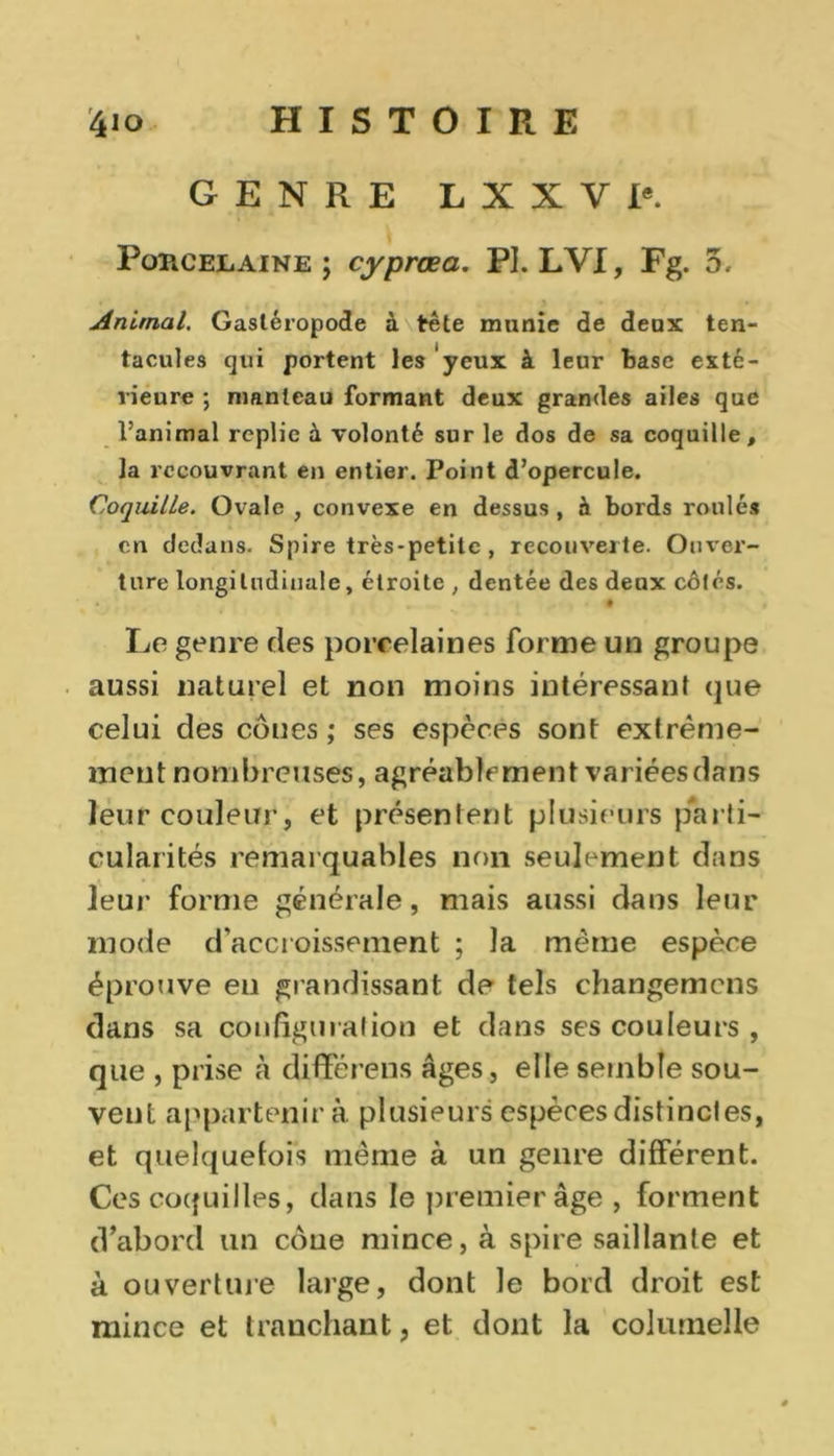 GENRE L X X V Ie. Porcelaine; cyprœa. P]. LVI, Fg. 5, Animal. Gastéropode à tête munie de deux ten- tacules qui portent les yeux à leur base exté- rieure ; manteau formant deux grandes ailes que l’animal replie à volonté sur le dos de sa coquille, la recouvrant en entier. Point d’opercule. Coquille. Ovale , convexe en dessus , à bords roulés en dedans. Spire très-petite , recouverte. Ouver- ture longitudinale, étroite , dentée des deux côtés. Le genre des porcelaines forme un groupe aussi naturel et non moins intéressant que celui des côues ; ses espèces sont extrême- ment nombreuses, agréablement variées dans leur couleur, et présentent plusieurs parti- cularités remarquables non seulement dans leur forme générale, mais aussi dans leur mode d’accroissement ; la même espèce éprouve en grandissant de tels changemcns clans sa configuration et dans ses couleurs , que , prise à différons âges, elle semble sou- vent appartenir à plusieurs espèces distinctes, et quelquefois même à un genre différent. Ces coquilles, dans le premier âge , forment d’abord un cône mince, à spire saillante et à ouverture large, dont le bord droit est mince et tranchant, et dont la columelle