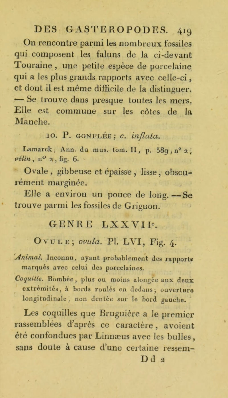 On rencontre parmi les nombreux fossiles qui composent les faluns de la ci-devant Touraine , une petite espèce de porcelaine qui a les plus grands rapports avec celle-ci, et dont il est même difficile de la distinguer. — Se trouve dans presque toutes les mers. Elle est commune sur les côtes de la Manche. 10. P. gonflée; c. inflata. Lamarck, Ann. du mus. lom. II, p. 389, n° 2 , vélin , n° a , lig. 6. Ovale, gibbeuse et épaisse, lisse, obscu- rément marginée. Elle a environ un pouce de long.—Se trouve parmi les fossiles de Grignon. 4 GENRE LXXVIK Ovule; ovula. PI. LVI, Fig. 4. 'Animal. Inconnu, ayant probablement des rapports marqués avec celui des porcelaines. Coquille. Bombée, plus ou moins alongée aux deux extrémités, à bords roulés en dedans; ouverture longitudinale, non dentée sur le bord gauche. Les coquilles que Bruguière a le premier rassemblées d’après ce caractère, avoient été confondues par Linnæus avec les bulles, sans doute à cause d’une certaine ressem- Dd a