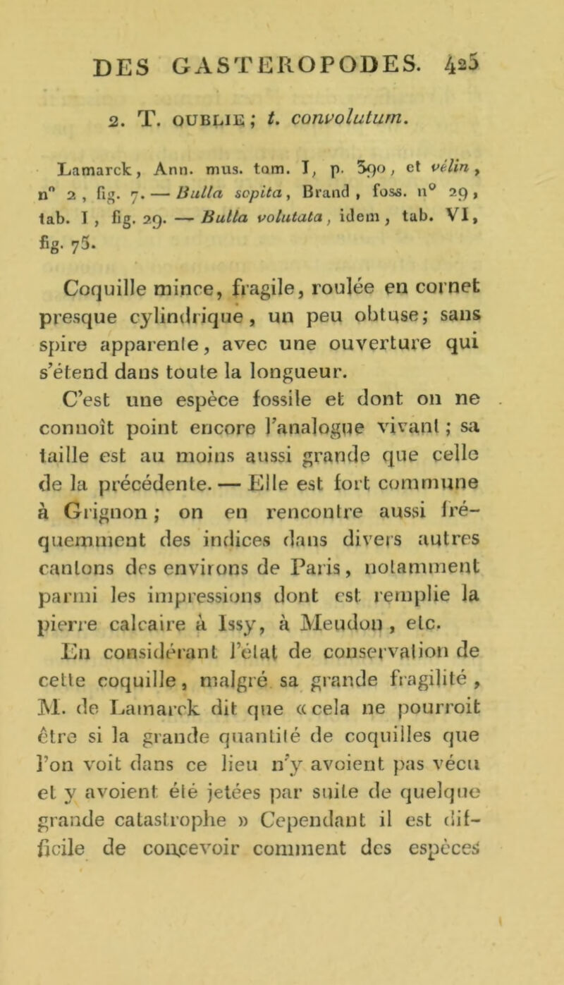 2. T. oublie; t. convolutum. Lamarck, Ann. mus. tom. I, p. , et vélin, n 2, fig. 7.— Huila sopita, B ranci , fo&s. n° 29, tab. I , fig. 29. — huila volutata, idem, tab. VI, fig. 75. Coquille mince, fragile, roulée en cornet presque cylindrique, un peu obtuse; sans spire apparente, avec une ouverture qui s’étend dans toute la longueur. C’est une espèce fossile et dont 011 ne connoît point encore l’analogue vivant ; sa. taille est au moins aussi grande que cello de la précédente. — Elle est fort commune à Grignon ; on en rencontre aussi fré- quemment des indices dans divers autres cantons des environs de Paris, notamment parmi les impressions dont est: remplie la pierre calcaire à Issy, à Meudon , etc. En considérant l’état de conservation de cette coquille, malgré sa grande fragilité, M. de Lamarck dit que «cela ne pourroit être si la grande quantité de coquilles que l’on voit dans ce lieu n’y avoient pas vécu et y avoient été jetées par suite de quelque grande catastrophe » Cependant il est dil- ficile de concevoir comment des espèces