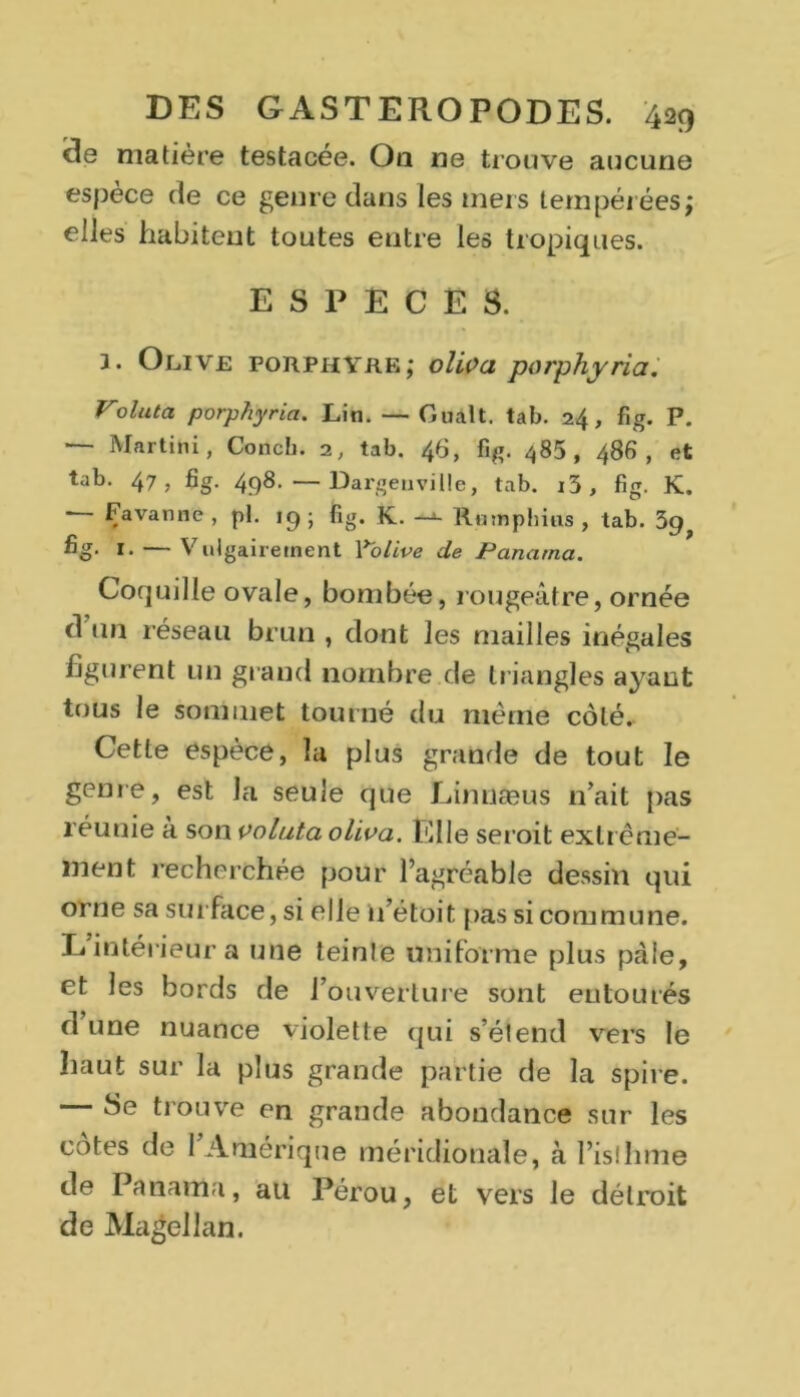 3e matière testacée. Ou ne trouve aucune espèce de ce genre dans les mers tempérées; elles habitent toutes entre les tropiques. ESPECES. 3. Olive porphyre; oliva porphyria. Voluta porphyria. Lin. — Güàlt. tab. , fig. P. — Martini, Conch. 2, tab. 46, fig. 485, 486, et tab. 47, fig. 498. —Dargeuville, tab. i3, fig. K.  Favanne , pl. 19; fig. K. —^ Rnmphius , tab. 39 fig- i. — Vulgairement Volive de Panama. Coquille ovale, bombée, rougeâtre, ornée d un réseau brun , dont les mailles inégales figurent un grand nombre de triangles ayant tous le sommet tourné du même côté. Cette espèce, la plus grande de tout le genre, est la seule que Linnæus n’ait pas réunie a son voluta oliva. Elle seroit extrême- ment recherchée pour l’agréable dessin qui orne sa sut face, si elle n’étoit pas si commune. L intérieur a une teinle uniforme plus pâle, et les bords de l’ouverture sont entourés d une nuance violette qui s’étend vers le haut sur la plus grande partie de la spire. — 8e trouve en grande abondance sur les côtes de l’Amérique méridionale, à l’isthme de Panama, au Pérou, et vers le détroit de Magellan.