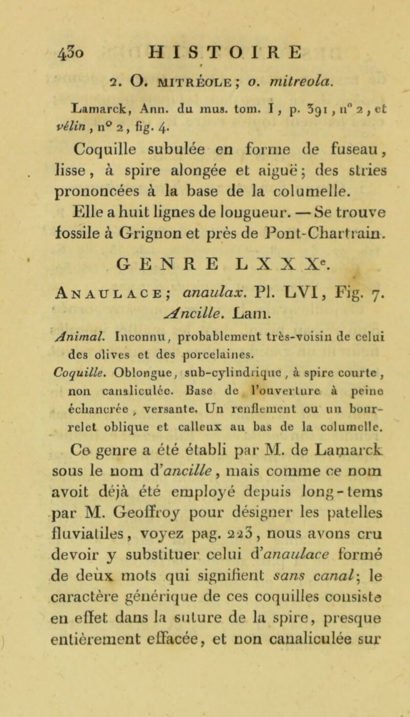 t 2. O. mit règle ; o. mitreola. Lamarck, Ann. du mus. tom. I, p. 391,11° 2, et vélin , n° 2, fig. 4- Coquille subulée en forme de fuseau, lisse, à spire alongée et aiguë ; des stries prononcées à la base de la columelle. Elle a huit lignes de longueur. — Se trouve fossile à Grignon et près de Pont-Char train. GENRE L X X Xe. Anaulace; anaulax. PI. LVI, Fig. 7. Cueille. JLaoi. Animal. Inconnu, probablement très-voisin de celui des olives et des porcelaines. Coquille. Oblongue, snb-cylindrique , à spire courte , non canaliculéc. Base de l’ouverture à peine écliancrée > versante. Un renflement ou un bour- relet oblique et calleux au bas de la columelle. Co genre a été établi par M. de Larnarck sous le nom d'ancille, mais comme ce nom avoit déjà été emplojé depuis long-tems par M. Geolïroy pour désigner les patelles fluvialiles, vo}rez pag. 2-a3, nous avons cru devoir y substituer celui d’anaulace formé de deux mots qui signifient sans canal ; le caractère générique de ces coquilles consiste en effet dans la 6uture de la spire, presque entièrement effacée, et non canaliculée sur