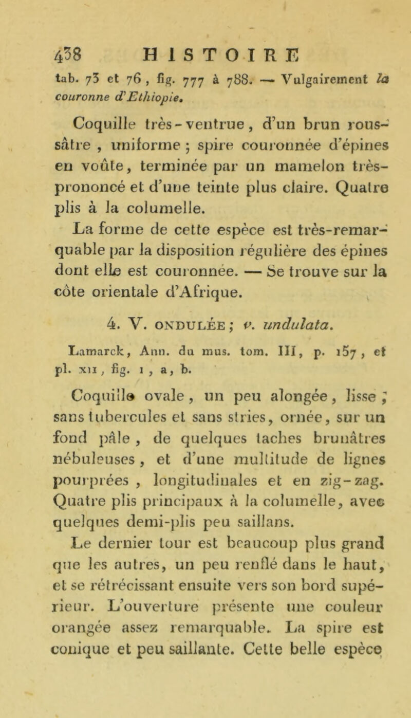 tab. 73 et 76 , fi g. 777 à 788. — Vulgairement la couronne d Ethiopie. Coquille très - ventrue , d’un brun rous- sâtre , uniforme ; spire couronnée d’épines en voûte, terminée par un mamelon très- prononcé et d’une teinte plus ciaire. Quatre plis à la columelle. La forme de cette espèce est très-remar- quable par la disposition régulière des épines dont elle est couronnée. — 6e trouve sur la cote orientale d’Afrique. 4. V. ondulée ; v. undulata. Lamarck, Ann. du mus. tom. III, p. 157, et pl. xii, fig. 1 , a, b. Coquiîl» ovale, un peu alongée, lisse ; sans tubercules et sans stries, ornée, sur un fond pâle , de quelques taches brunâtres nébuleuses , et d’une multitude de lignes pourprées , longitudinales et en zig-zag. Quatre plis principaux à la columelle, avec quelques demi-plis peu saillans. Le dernier tour est beaucoup plus grand que les autres, un peu renflé dans le haut, et se rétrécissant ensuite vers son bord supé- rieur. L’ouverture présente une couleur orangée assez remarquable* La spire est conique et peu saillante. Celte belle espèce