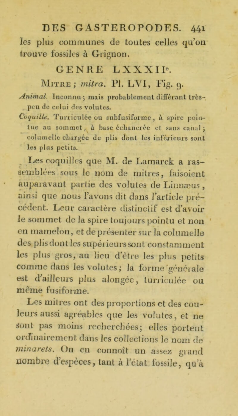 les plus communes de toutes celles qu’011 trouve fossiles à Grignon. GENRE L X X XI Ie. Mitre; mitra. El. LVI, Fig. 9. Animal. Inconnu; mais probablement différant Irès- peu de celui des volutes. Coquille. Turriculée ou subfusiforme, à spire poin- tue au sommet, à base échanerée et sans canal: columelle chargée de plis dont les inférieurs sont les plus petits. Les coquilles que M. de Lamarck a ras- semblées sous le nom de mitres, faisoient auparavant partie des volutes de Linnæus, ainsi que nous l’avons dit dans l’article pré- cédent. Leur caractère distinctif est d’avoir le sommet de la spire toujours pointu et non en mamelon, et de présenter sur la columelle des plis dont les supéiieurssont constamment les plus gros, au lieu d’être les plus petits comme dans les volutes; la forme générale est d’ailleurs plus alongée, luriicuiée ou même fusiforme. Les mitres ont des proportions et des cou- leurs aussi agréables que les volutes, et ne sont pas moins recherchées; elles portent ordinairement dans les collections le nom de minarets. On en connoît un assez grand nombre d’espèces, tant à l’étal fossile, qu’à