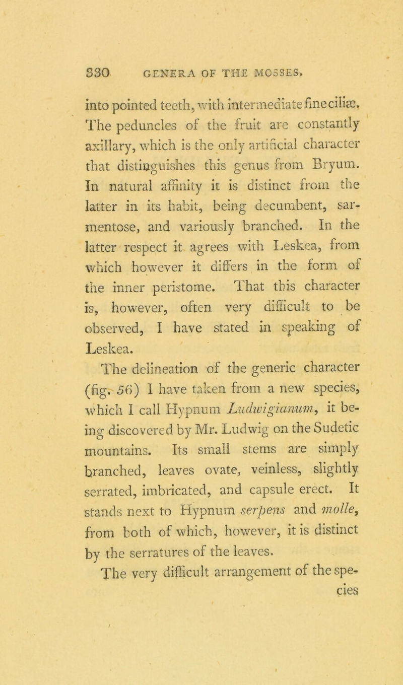 into pointed teeth, with mtermediatefineciliax The peduncles of the fruit are constantly axillary, which is the only artificial character that distiuguishes this genus from Bryum. In natural afhnity it is distinct from the latter in its habit, being decumbent, sar- mentose, and variously branched. In the latter respect it agrees with Leskea, from which however it differs in the form of the inner peristome, That this character is, however, often very difücult to be observed, I have stated in speaking of Leskea. The delineation of the generic character (hg. 56) I have taken from a new species, which I call Hypnum Ludwigianum, it be- ing discovered by Mr. Ludwig on the Sudetic mountains. Its small stems are simply branched, leaves ovate, veinless, sligbtly serrated, imbricated, and capsule erect. It Stands next to Hypnum serpens and molle, from both of which, however, it is distinct by the serratures of the leaves. The very difficult arrangcment of the spe- cies