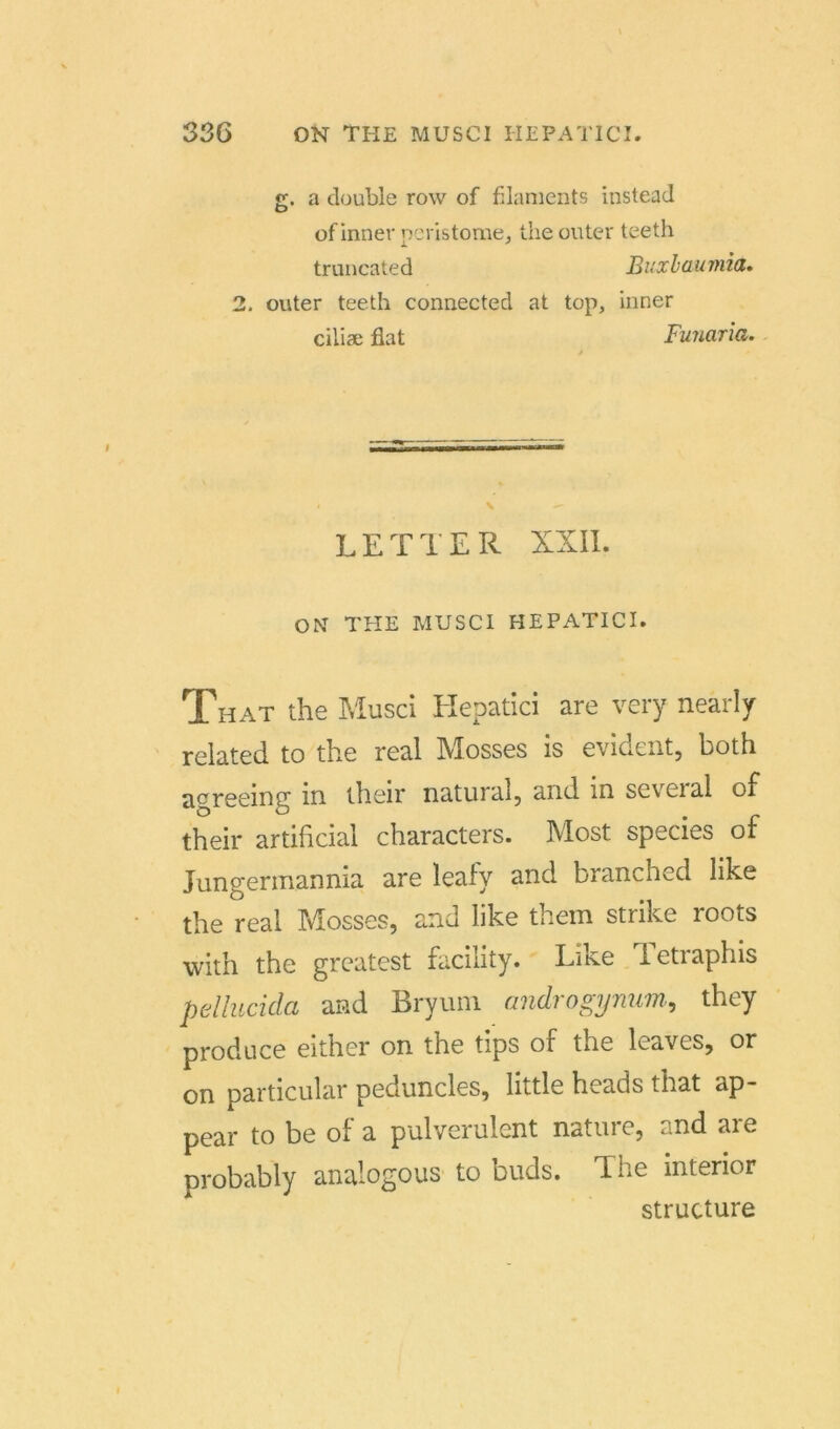 g. a double row of filaments instead of inner peristome, theouter teeth truncated Buxhaumia. 2. outer teeth connected at top, inner ciliae flat Funaria. LETTER XXII. ON THE MUSCI HEPATICI. That the Musci Hepatici are very nearly related to the real IVIosses is evident, both agreemg in. their natural, and in seveial of their artificial characters. Most species of Jungermannia are leaiy and branched like the real Mosses, and like them strike roots with the greatest facility. Like Tetraphis pellucida and Bryum androgymm, they produce either on the tips of the leaves, or on particular peduncles, little heads that ap- pear to be of a pulverulent nature, and are probably analogous to buds. The interior structure