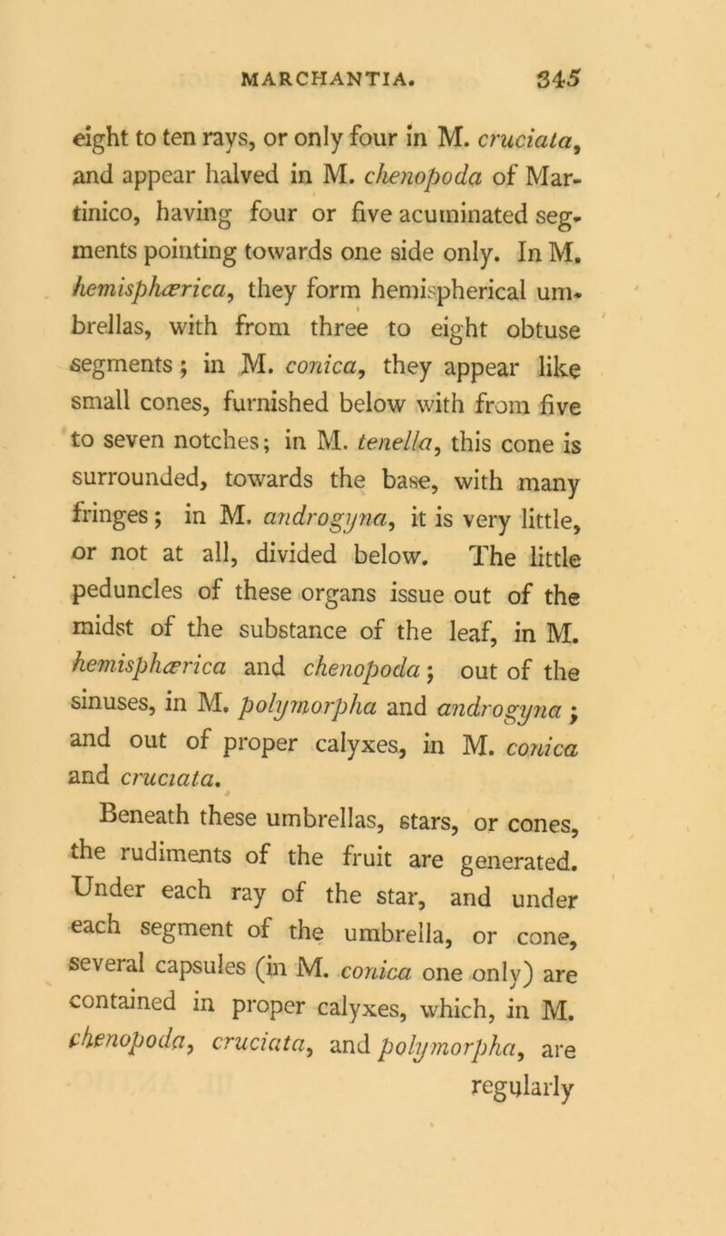 eight to ten rays, or only four in M. cruciata, and appcar halved in M. chenopoda of Mar- tinico, having four or five acuminated Seg- ments pointing towards one side only. In M. hemisphcerica, they form hemispherical um- breilas, with from three to eight obtuse Segments; in M. conica, they appear like small cones, furnished below with from five to seven notches; in M. tenella, this cone is surrounded, towards the base, with many fringes; in M. androgyna, it is very little, or not at all, divided below. The little peduncles of these Organs issue out of the midst of the substance of the leaf, in M. hemisphcerica and chenopoda; out of the sinuses, in M. polymorpha and androgyna ; and out of proper calyxes, in M. conica and cruciata. Beneath these umbrellas, stars, or cones, the rudiments of the fruit are generated. Under each ray of the star, and under each segment of the umbrella, or cone, several capsules (in M. conica one only) are contained in proper calyxes, which, in M. chenopoda, cruciata, and polymorpha, are regularly