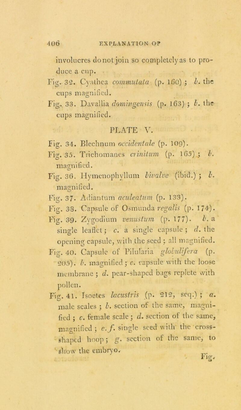 involucres donotjoin so completelyas lo pro- ducc a cup. Fig. 32. Cyathea commulala (p. 1 Gü) ; b. tbc cups magnified. Fig. 33. Dayallia dommgensis (p. 163) ; b. the cups magnified. PLATE V. Fig. 34. Blechnum occidentale (p. 109). Fig. 35. Trichomanes crinitum (p. 165); b. magnified. Fig. 36. Hymenophyllum bivalue (ibid.) ; l. magnified. Fig. 37. Adiantum acideatwm (p. 133). Fig. 33. Capsule of Osmunda regalts (p. 174). Fig. 39. Zygodium venustnm (p. 177)* b. a single leaflet; c. a single capsule ; d. the opening capsule, with the seed ; all magnified. Fig. 40. Capsule of Pilularia glolulifera (p. 205). b. magnified; c. capsule with the loose membrane ; d. pear-shaped bags replete with Fig. 41. Isoetes lacustris (p. 212, seq.) ; a. male scales ; b. section of the same, magni- fied ; c. female scale; d. scction of the same, magnified ; e. f'. single seed with the cross- tehaped hoop; g> section of the same, to show the embryo. I Fig,