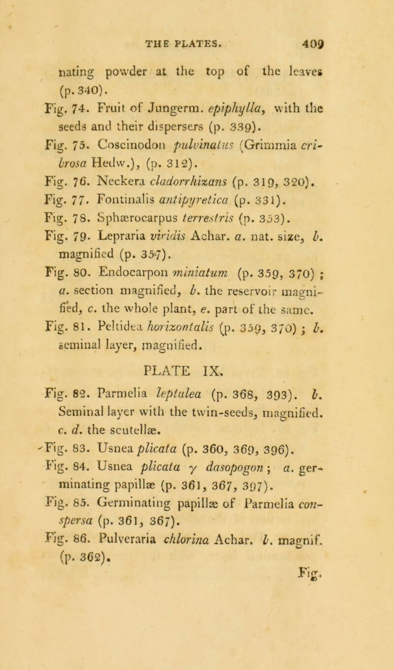 nating powder at the top of the leaves (p. 340). Fig. 74. Fruit of Jungerm. epipliylla, with the seeds and their dispersers (p. 33g). Fig. 75. Coscinodon puluinatus (Grimmia m- brosa Hedw.), (p. 312). Fig. 76* Neckera cladorrkizans (p. 319, 320). Fig. 77. Fontinalis antipyretica (p. 331). Fig. 78. Sphcerocarpus terresfris (p. 333). Fig. 79- Lepraria viridis Achar. a. nat. size, l. magnified (p. 357). Fig. 80. Endocarpon vniniatum (p. 359, 370) ; a. seetion magnified, b. the reservoir magni- fied, c. the whole plant, e. part of the same. Fig. 81. Pehidea horizontales (p. 359, 370) ; b. geminal layer, magnified. PLATE IX. Fig. 82. Parmelia leptalea (p. 368, 393). b. Seminal layer with the twin-seeds, magnified. c. d. the scutellae. -'Fig. 83. Usnea plicata (p. 360, 369, 396). Pig. 84. Usnea plicata y dasopogon ; a. ger- minating papillae (p. 361, 367, 397). Fig. 85. Germinating papillae of Parmelia eon- spersa (p. 361, 367). Fig. 86. Pulveraria chlorina Achar. b. magnif. (p. 362). Fi<r« €j