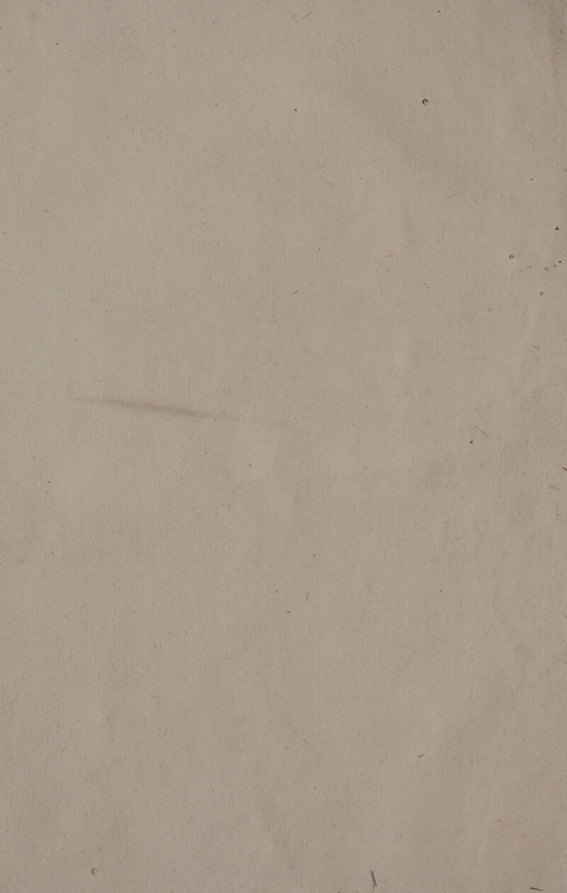 Mpeg na RO MR = 1 rina