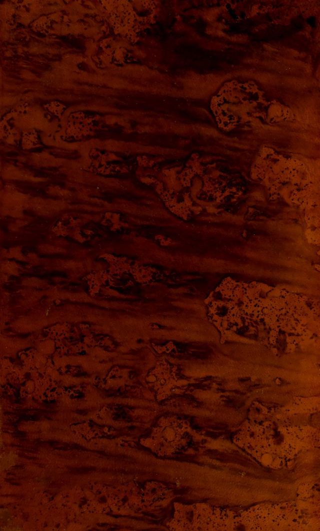 digitised image 1