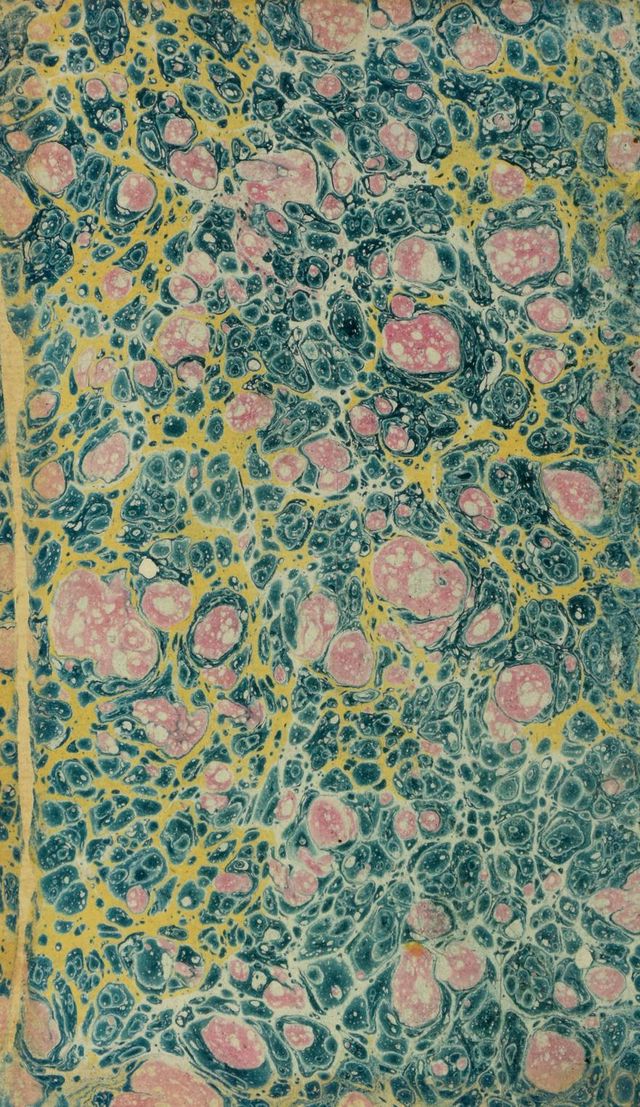 digitised image 2