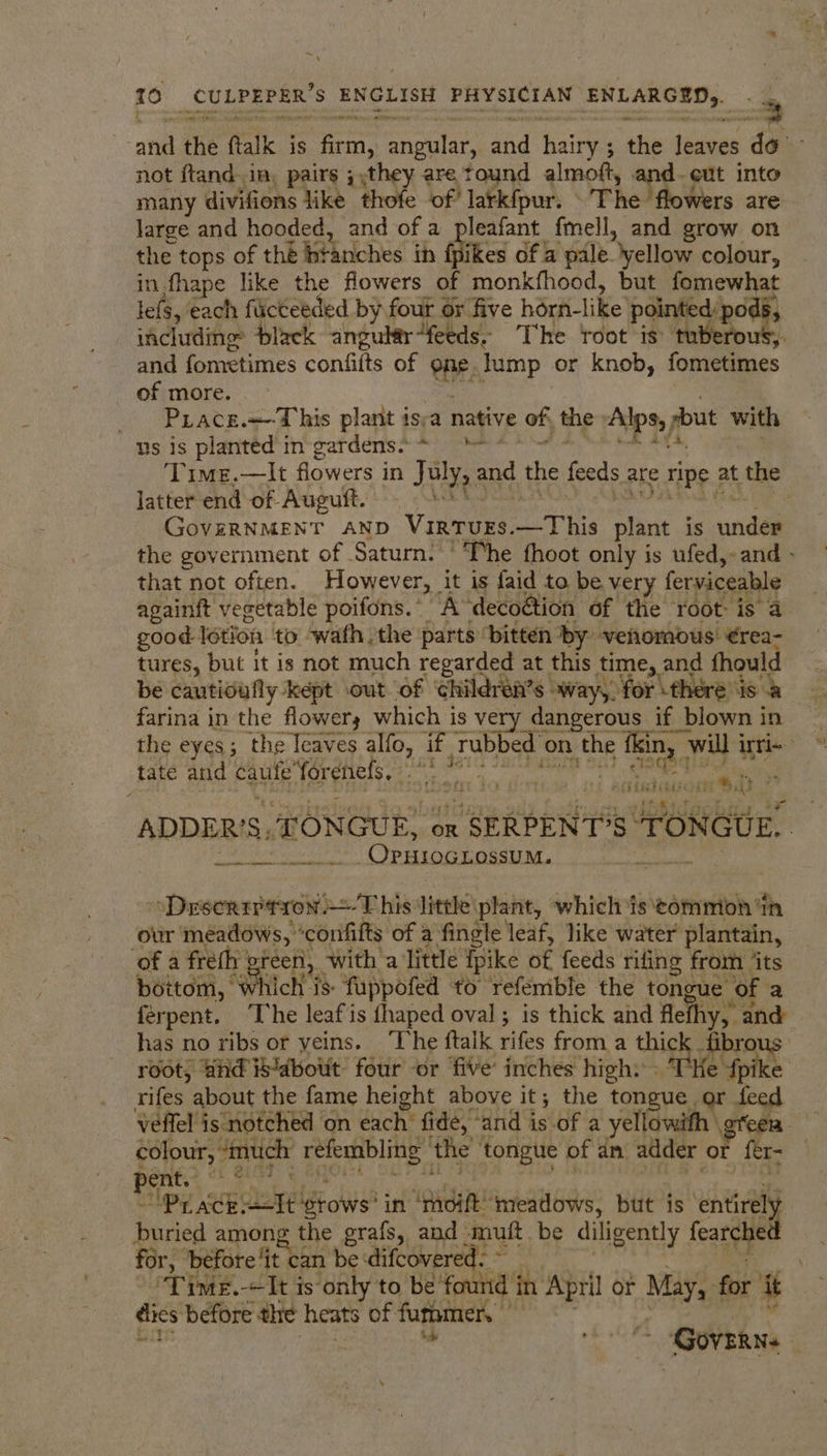 ‘ ULPEPER’S ENGLISH PHYSICIAN ENLARGED, . .. 10 — sy not ftand in, pairs ;,they are tound almoft, and. cut into many divifions like thofe of’ larkfpur. The flowers are large and hooded, and of a pleafant fmell, and grow on the tops of thé branches in Gfikes of a pale. yellow colour, in fhape like the flowers of monkfhood, but fomewhat lefs, each fucteeded by four 6r five hérn-like pointed: pods, including black angular“feeds. The root is tuberous, and fometimes confilts of one. lump or knob, fometimes of more. Sense | Prace.—This plant isva native of, the Alps, sbut with isvis pianited m” pat ders: areemer ey ere . Time.—lt flowers in July, and the feeds are ripe at the latter end of Augult. De eatin devs at shad Aa ae niiaintamme tare GoveRNMENT AND VirtTuEs.—This plant is under that not often. However, it is faid to be very feryiceable againft vegetable poifons.. A decoétion of the root is a good lotion to wath the parts ‘bitten by venomous’ €rea- tures, but it is not much regarded at this time, and fhoul: be cautioufly kept .out of children’s way, for there ‘is i, farina in the flower; which is very dangerous if blown in taté and Caulfeforetietsse ahs ACP ipaidais eae thecal i MAC BE Or TORS, “‘Derserrptron + T his ‘little plant, which is tommion ‘in our meadows, *confifts of a ‘fingle leaf, like water plantain, of a fréth green, with a little fpike of feeds rifing from its bottom, HCH fuppofed to refemble the tongue of a ferpent. ‘The leafis fhaped oval ; is thick and flefhy, and has no ribs or veins. ‘The ftaik rifes from a thigh fibrous root; Bhd about: four or five’ inches high: | THe rifes about the fame height above it; the tongue or feed colour, “much refembling ‘the ‘tongue of an adder or fer- ~ “Pr ackIt grows’ in ‘moift meadows, but is entirely buried among the grafs, and muit be diligently fearched for, before it can be difcovered. ~ , dies before the heats of furamen. $0115 ; ‘d, wy