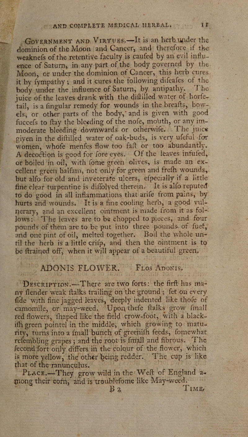 ; GOVERNMENT AND. Virtves.—lIt is an herb.under the dominion of the Moon and Cancer, and: therefore if the weaknefs of the retentive faculty is caufed by an evil influ- ence of Saturn, in any-part of the body governed by the Moon, or under the dominion of Cancer, this herb cures it by fympathy ; and it cures the following difeafes of the body under the influence of Saturn, by antipathy. ‘The juice of the leaves drank with the diftilled water of horfe~ tail, is a fingular remedy for wounds in the breafts, bow- els, or other parts of the body,’ and is given with good fuccefs to ftay the bleeding of the nofe, mouth, or any im- moderate bleeding downwards. or otherwife. .The Juice women, whofe menfes flow too faft or too abundantly. A decoction is good for fore eyes. Of the leaves intuled, or boiled ‘in oil, with fome green olives, is made an ex- cellent greet Balfam, not only for green and frefh wounds, but alfo for old’ and inveterate ulcers, efpecially if a little fine clear turpentine is diffolyed therein. It is alfo reputed to do good in all inflammations that arife from pains, by hurts and’ wounds. It is a fine cooling herb, a good vul- nerary, and an excellent ointment is made from it as fol- lows: The leaves are to be chopped to pieces, and. four pounds of them are to be put into three pounds of fuef, and one pint of oil, melted together... Boil the whole un- til the herb is a little crifp, and then the ointment is to be ftrained off, when it will appear of a beautiful green. ey ADONIS FLOWER. © Fros Aponis, “Description.— There are two forts: the firft has ma- ny flender weak ftalks trailing on the ground; fet on every fide with fine jagged leaves, deeply indented like thofe of camomile, or may-weed. Upon thefe ftalks grow {mail red flowers, fhaped like the field crow-foot, with a black- ifh green pointel in the middle, which growing to matu- rity, turns into a fmall bunch of greenifh feeds, fomewhat refembling grapes ; and the root’is {mall and fibrous. The fecond fort only differs'in the colour of the flower, which is more yellow, the other being redder.” The cup is like that of the-ranunculus. BP gh erie PLace.—They grow wild in the: Weft of England a- Ba TIME? /