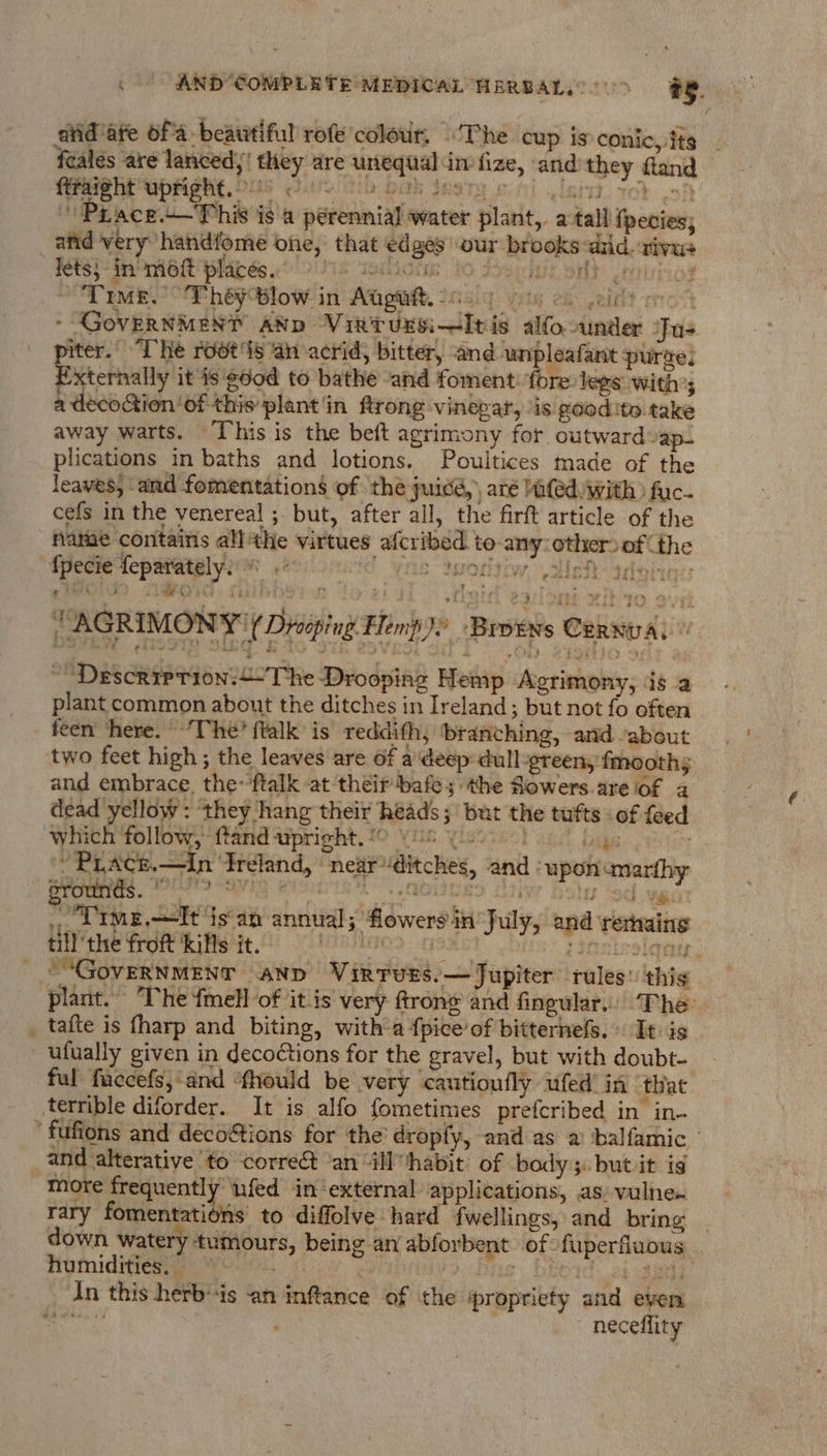 diid’ate ofa beawtiful roe colour, “The cup isconic, tis fealés are lanced;! they are unequal im fize, andithey fland Wah Upr she. us Ole Ub baw deer oni land Ik oh Prace+-This is a perennial water plant,. a-tall {pecies; and very handfome one, that edges our brooks did. rivus Jets} in mot Bibéeeo oUis tedions to Fosphit sil} rtvinoe Time.” Shep Blow in’ Aupweh. Miaig yesy ek peidlt coo} - GovERNMENT AND Vintuxsi—ltis alfocunder Jus. iter. “The root's ‘an acrid, bitter, and. unpleafant purge: Pytehwally it is good to bathe “and foment: fore legs with’; a deco&amp;ion‘of this plant'in Atrong vinegar, is good ite take away warts. ‘This is the beft agrimony for outward»ap- plications in baths and lotions. Poultices made of the leaves, and fomentations of the juiced, aré afed With ) fuc- cefs in the venereal ; but, after all, the firft article of the ' flatne contains all the virtues afcribed. to-any other. of the fpecie feparately. M48 | We qworitiy, sch sdging:: Dire | AGRIMONY' ( Drooping Elemp &gt; ‘Brotws Cernval © ~ Descriprion:&lt;-The Drooping Hemp Agrimony, is a plant common about the ditches in Ireland; but not fo often feen here. The? {talk is reddifh, ‘branching, and /about two feet high; the leaves are of a\deep dull-green, fmooth; and embrace. the: ftalk -at their bafe; the Sowers. are of 4 dead yellow : they hang their heads; but the tufts of feed which follow, ftand upright. !0 vos (oo re an ~~ PLaAce.—In Treland, nearditches, and - upon umarfhy _ Lime. —&lt;It isan annual; flowers in July, and remaing til the From Rifle tt nwitao&gt; castes ‘jarteslqaur, — &lt;“GovernMenr anp Virturs.— Jupiter rules: this plant. The fmell of it is very ftrong and fingular.). The: _ tafte is fharp and biting, with a fpice’of bitterhels. It is ufually given in deco¢tions for the gravel, but with doubt- ful fuccefs,‘and ‘fhould be very cautioufly ufed in that terrible diforder. It is alfo fometimes prefcribed in in. ‘ fufions and decotions for the’ dropfy, and as a ‘balfamic ° and alterative to ‘corre ‘an il habit of body. but it is more frequently ‘fed in‘external applications, as) vulne. rary fomentati¢ns to diffolve hard fwellings, and bring — down watery tumours, being an abforbent. of fuperfluous Humiditiessap Yeas, . | DEO. ak Rig! In this herbis an inflance of the propriety and even inate neceflity