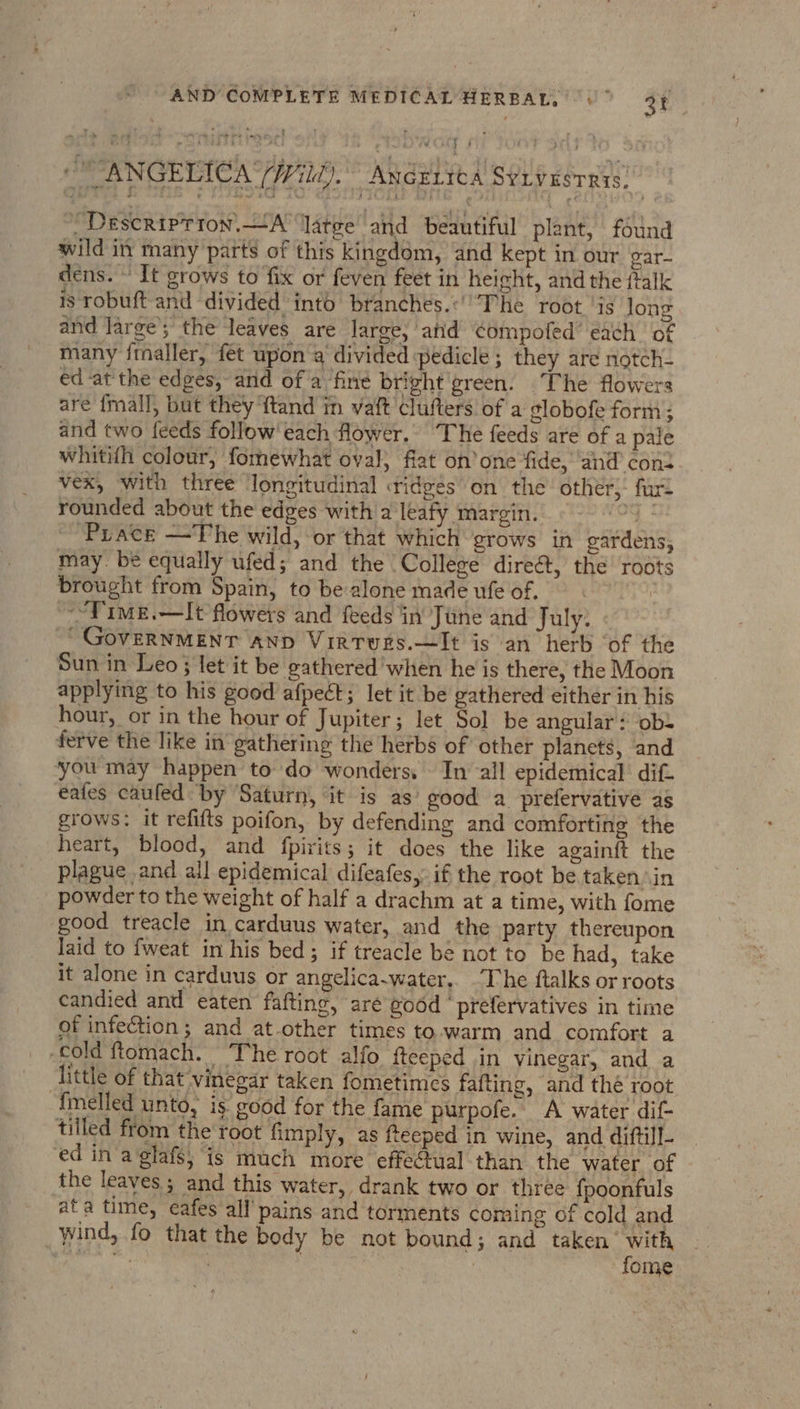 , i “ANGELICA (771d). Andeiica S¥ivasrris) -Descriprion.—A ‘latee and beautiful plant, found wild in many parts of this kingdom, and kept in our gar- dens. ~ It grows to fix or feven feet in height, and the fialk is robuft and divided into branches.:The root ‘is long and large’; the leaves are large, atid ¢ompofed’ each of many fraller, fet upon a divided pedicle ; they are notch- ed at the edges, and of a fine bright green. The flowers are {mall, but they ftand in vaft clufters of a globofe form; and two feeds follow’ each flower. The feeds are of a pale whitifh colour, fomewhat oval} flat on’one fide, and con vex, with three longitudinal ridges’ on the’ other,: far: rounded about the edges witha leafy margin. 4: Pract —The wild, or that which grows in gardens, may be equally ufed; and the College direé&t, the roots brought from Spain, to be alone made ufe of. ~Time.—It flowers and feeds in June and July: “GovERNMENT AND VirRTwEs.—It is an herb ‘of the Sun in Leo; let it be gathered'when he is there, the Moon applying to his good afpect; let it be gathered either in his hour, or in the hour of Jupiter; let Sol be angular: obs ferve the like in gathering the herbs of other planets, and ‘you may happen todo wonders, In all epidemical dif. eafes cauled: by Saturn, it is as’ good a prefervative as grows: it refifts poifon, by defending and comforting the heart, blood, and fpirits; it does the like againft the plague and all epidemical difeafes,: if the root be taken \in powder to the weight of half a drachm at a time, with fome good treacle in carduus water, and the party thereupon laid to fweat in his bed; if treacle be not to be had, take it alone in carduus or angelica-water.. The ftalks or roots candied and eaten fafting, aré good ‘ prefervatives in time of infection; and at-other times to. warm and comfort a cold ftomach. The root alfo fteeped in vinegar, and a ttle of that vinegar taken fometimes fafting, and thé root fmelled unto, is. good for the fame purpofe. A water dif- tilled from the'root fimply, as feeped in wine, and diftill- ed in/a glafs, is much more effectual than the water of the leaves ; and this water, drank two or three fpoonfuls ata time, eafes all’ pains and torments coming of cold and wind, fo that the body be not bound; and taken’ sit : ei | . | ome