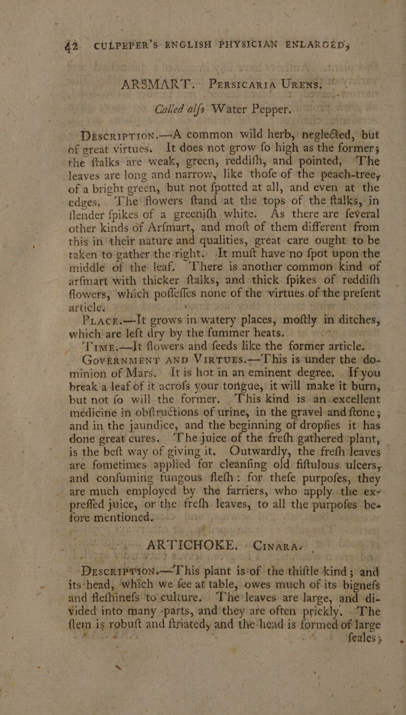 “ARSMART. Pree URENS. sa Called aifa Water Papers es 9 Déscription.—A common wild herb, nealeOied : but bf great virtues. It does not grow fo high as the former; the ftalks are weak, green, reddifh, and pointed, The leaves are long and narrow, like thofe of the peach-tree,y of a bright green, ‘but not fpotted at all, and even at the edges. The’ flowers ftand at the tops of the ftalks, in {lender fpikes of a greenifh white. As there are feveral other kinds of Arfmart, and moft of them different from. this in their nature and qualities, great care ought to be taken to‘gather the right. It muft have’no fpot upon the middle of the leaf. “There is another common kind of arfmart with thicker ftalks, and thick fpikes of reddifh flowers, which et sani none of the virtues of the prefent articles ' PLacr.—It grows in watery places, moftly in ditches, which are left dry by the fammer heats. *: ‘Trme.—It flowers and feeds like the former article. GovERNMENT AND VirtTuEs.—This is under the do- minion of Mars. It is hot in an eminent degree, . Ifyou break a leaf of it acrofs your torigue, it will make it burn, but not fo will the former. This kind is an.excellent medicine in obftructions of urine, in the gravel andftone; | and in the jaundice, and the beginning of dropfies it has done great cures. ‘The juice of the freth gathered ‘plant, is the beft way of giving it. Outwardly, the freth leaves — are fometimes applied for cleanfing old fiftulous: ulcers, and confuming fungous flefh: for thefe purpofes, they . are much employed “by the farriers, who apply the ex~ _ preffed juice, or the frefh opis to all the Ls shuns bes | _ fore mentioned. . | ‘ey vi ee ARTICHOKE. CINARA: (Diesceiiaslundk bi plant i is’ of the thiftle kinid ; ; ate its'head, which we fee at table, owes much of its bignefs and flefhinefs to'culture. The leaves: are large, and -di- vided into many -parts, and’ they are often prickly... The fem 1 ig et and ftriatedy =e the head is formed of large i ae aba