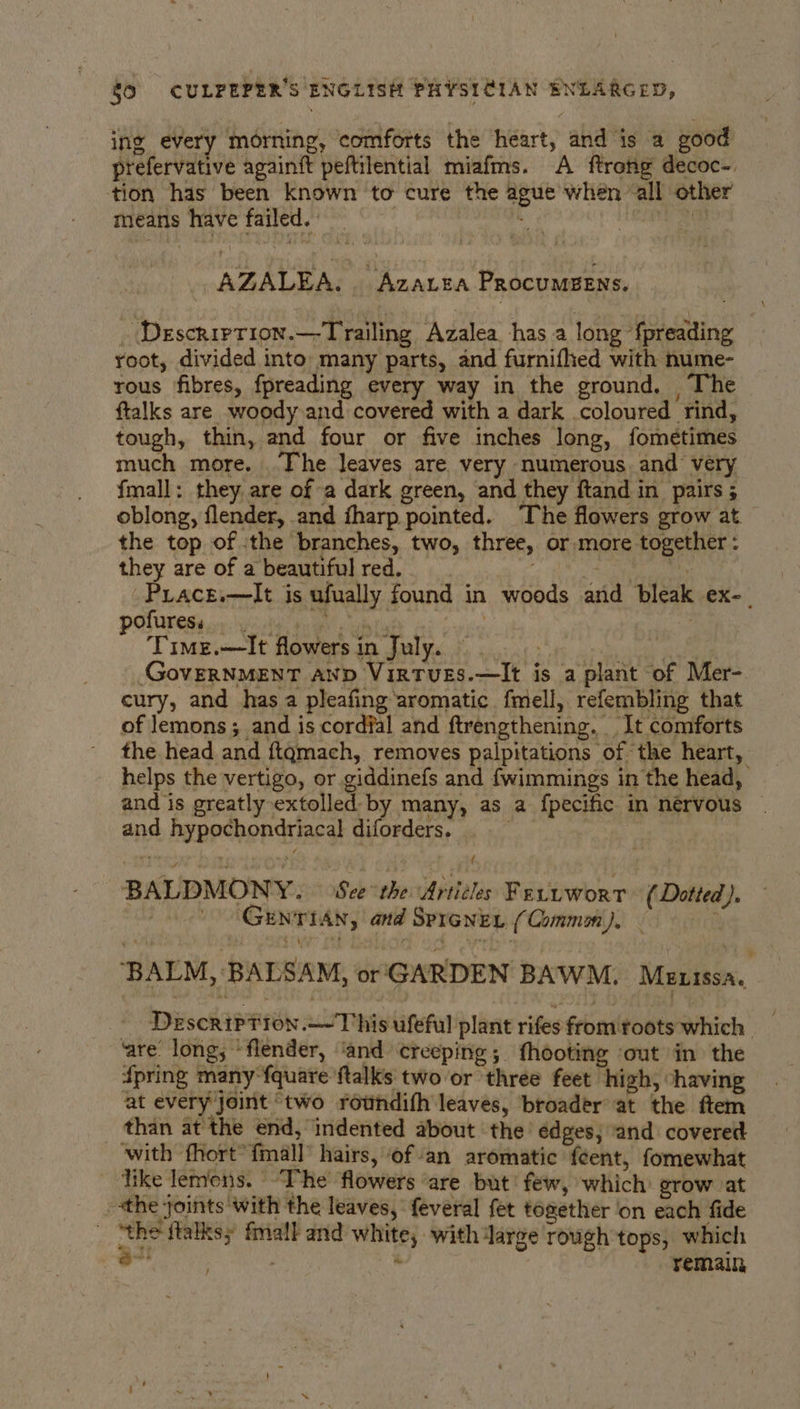 ing every morning, comforts the heart, and is a good prefervative againft peftilential miafms. A ftrong decoc-. tion has been known to cure the ague when ‘all other means have failed. | - ee Sm AZALEA. VAZALBA PRocuMEENS. Description.—Trailing Azalea has a long ‘f{preading root, divided into: many parts, and furnifhed with nume- rous fibres, fpreading every way in the ground. The ftalks are woody and covered with a dark coloured rind, tough, thin, and four or five inches long, fometimes much more. The leaves are very numerous and very fmall: they. are of a dark green, and they ftand in pairs ; oblong, flender, and fharp pointed. ‘The flowers grow at the top of :the branches, two, three, or more together : they are of a beautiful red. a 'Priace.—It is ufually found in woods and bleak ex-. POMC EKG wr yi Kn pn say ae : | Time.—It flowersin July. nytent GovERNMENT AND VirTvES.—It is a plant of Mer- cury, and has a pleafing aromatic fmell, refembling that of lemons ; and is cordfal and ftrengthening. It comforts the head and ftqmach, removes palpitations of the heart, helps the vertigo, or giddinefs and {wimmings in the head, and is greatly extolled by many, as a fpecific in nervous and hypochondriacal diforders. . | BALDMONY. = See the ‘Articles Fertworr (Dotted). /* “GEnriAn, and SprenEL (Qammm), ‘ ‘BALM, BALSAM, or'GARDEN BAWM. Manisa. - Description. ~This ufeful plant rifes from foots which ‘are: long; ‘flender, ‘and creeping; fhooting ‘out in the {pring many fquare ftalks two or three feet high, shaving at every joint ‘two rowndifh leaves, broader at the ftem than at the end, indented about the’ edges; and covered with fhort* fmall’ hairs, ofan aromatic {eent, fomewhat ‘Uke lemons. “The flowers ‘are but! few, which: grow at ‘the joints with the leaves, feveral fet together on each fide _ “the ftalksy fmall and white; with Jarge rough tops, which ie . ‘ remain,