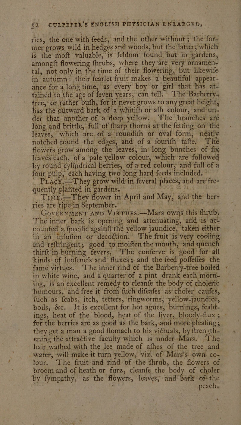 ries, the one with feeds, and the Geher without § the-foR2 mer grows wild in hedges and woods, but the’ latter; which is the moft valuable, ‘is feldom found but in gardens, amongtt flowering fhrubs, w here they’are very ornamen- tal, not only in the time of ‘their flowering, but likewife m autumn: their fearlet fruit makes a beautiful appear - ance for a. long time, as every boy or girl that has at- tained to the age of fever! years, can tell. The’ Barberry- tree,‘ or rather bufh, for it never grows to any great height, has' the outward ba rk ofa ‘whitifh or afh colour, and un- der that another of a deep yellow... The branches aré long and brittle, full of fharp thorns. at the fetting on the eaves, which are. of a roundifh or oval form, néatly notched found the edges, and of a fourith’ tafte, “Phe flowers grow among the leaves, in’ long bunches of fix leaves cach, of a pale yellow colour, which are followed by round cylindrical berries, of a'red colour; and full of a four pulp, ‘éach having two long hard feeds included. ” “PLACE oT hey grow. wild'in feveral places; and are fre- 3 quently planted in gardens. ° see Tims.--They flower in April and May; tne the ber= ries are ripe'in September.” GoveRNMENT AND VirTuEs.—Mars owns this fhrub. ‘The inner bark is opening and attenuating, ‘and is ac- counted” a, fpecific againft the yellow jaundice, ‘taken either in an. infufion or decoction.’ The fruit is very Serer and reftringent; good to moiften the mouth, and quenck -thirft in burning fevers, “Phe conferve is good: for’ all ‘kinds- of loofenefs and fluxes ;. and the feed poffeffes the fame virtues. - ‘The innér rind of the Barberry-tree_ boiled in white wine, and a quarter of a pint drank each | morn- ing, is an excellent remedy to cleanfe the body of choleric humours, and free it from fuch difeafes as‘ choler caufes, . fuch as fcabs, itch, tetters, ringworms, yellow-jaundice, boils, &amp;c, It is excellent for hot agues, burnings, feald- ings, heat of the blood, heat of the liver, bloody-flux 5 for the berries are as good as the bark,.and more pleafing ; they get a man a good ftomach to his victuals, by ftrength-_ ening the attractive faculty which is under~Mars. ai he hair wafhed with the lee made of afhes of the tree and _ water, will make it turn yellow, viz. of Mars’s.own co- . lour, The fruit-and rind of the fhrub, the flowers of broom and of heath or furz, cleanfe the ‘body of choler by fympathy, as the flowers, leaves, and bark of the peach. i Se