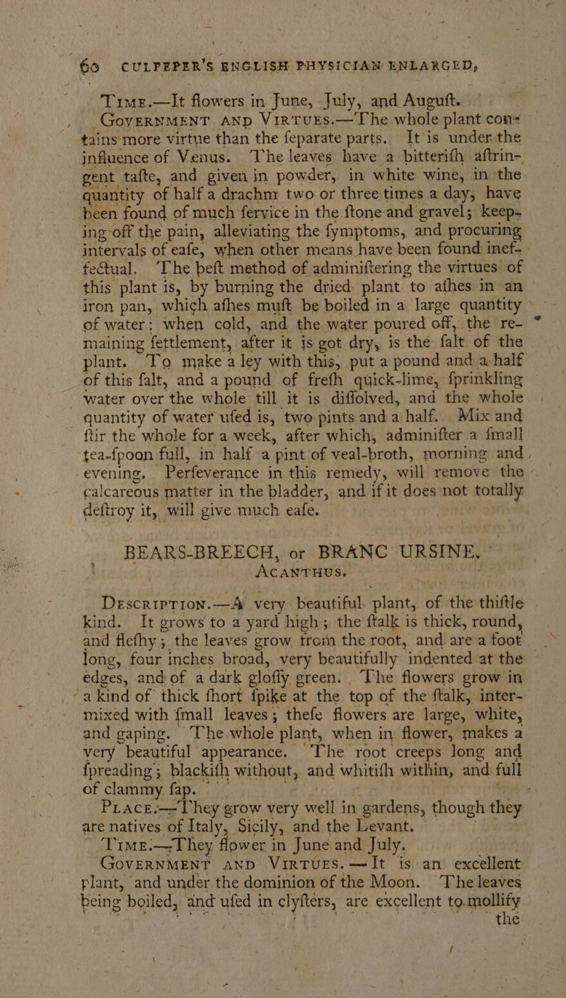 ‘ 60 CULPEPER'S ENGLISH PHYSICIAN ENLARGED, Timg:—it flowers i in June, July, and Auguft. . GoyeRNMENT ANp Virtvts.—The whole plant con- tains more virtue than the feparate parts., It is under the influence of Venus. The leaves have a bitterith aftrin- ent tafte, and given in powder, in white wine, in the | quantity of half a drachmr two or three times a day, have been found of much feryice in the ftone: and gravel; keep- ing-off the pain, alleviating the fymptoms, and procuring, intervals of eafe, when other means have been found inef- fectual. The peft method of adminiftering the virtues of this plant is, by burning the dried: plant to afhes in an of water; when cold, and the water poured off, the re- maining fettlement, after it is got dry, is the falt of the plant. Tq make a ley with this, put a pound and a half of this falt, and a pound of frefh quick-lime, fprinkling — ‘water oyer the whole till it is diffolved, and the whole quantity of water ufed is, two pints anda half. Mix and ftir the whole for a week, after which, adminifter a fmall tea-fpoon full, in half-a pint of veal-broth, morning and. FYSnINg. Perfeverance in this remedy, will remove the - calcareous matter in the bladder, and if it does not ape deftroy it, will give, much eafe. BEARS- BREECH, or BRANC. URSINE, Acanruus. Aste —A very. beautiful. plant, of: the thiftle kind. It grows to a yard high; the ftalk is thick, round, and flefhy ; the leaves grow from the root, and are a foot a long, four inches broad, very beautifully indented at the edges, and of a dark glotiy ereen. The flowers grow in -akind of thick fhort {pike at the top of the ftalk, inter- mixed with {mall leaves; thefe flowers are large, white, and gaping. The whole plant, when in flower, makes a very beautiful appearance. The root creeps long and {preading ; blackith without, and whitith within, and full of clammy fap. . Piace.—- They grow very well in gardens, though they are natives of Italy, Sicily, and the Levant. © Time.—They flower in June and July, | GovERNMENT ann Virtues. —It is an excellent plant, and under the dominion of the Moon. Theleaves being boiled, and ufed i in clyfters, are excellent to.mollify the