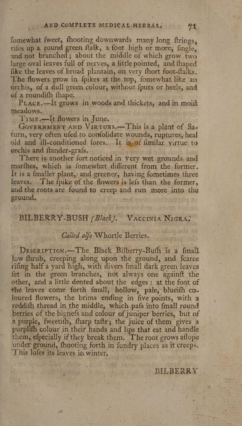 fomewhat {weet, fhooting downwards many long ftrings; rifes up a, round green ftalk, a foot high or more; fingle, and not branched; about the middle of which grow two large oval leaves full of nerves, a little pointed, and fhaped like the leaves of broad plantain, on very fhort foot-ftalks. ‘The flowers grow in {pikes at the top, fomewhat like an orchis, of a dull green colour, without fpurs or heels, and - of a roundifh fhape. | inte: | _ Prace.—It grows in.woods and thickets; and in moitt meadows. . she shrrc Time.—It flowers in June. | _ Government anv Virrurs.—This is a plant of Sa- turn, very often ufed. to confolidate wounds, ruptures, heal _ old and ill-conditioned fores. It ig,of fimilar virtue to orchis and ftander-grafs. by There is another fort noticed in very wet grounds. and - marfhes, which is fomewhat different from the. former. It is a fmaller plant, and greener, having fometimes three leaves. .The {pike of the flowers is lefs than the former, and the roots are. found to creep and run more.into the ground, | Seve pag heder 4 ‘BILBERRY-BUSH (Black). Vaccivia Nica? | Called alfo Whartle Berries. i _ Deserrptron.—The Black Bilberry-Buth is a {mall low fhrub, creeping along upon the ground, and _ fearce rifing half a yard high, with divers {mall dark green leaves fet in the green branches, not always one againft the other, and a little dented about the edges: at the foot of the leaves come forth fmall; hollow, pale, blueifh co- loured flowers, the brims ending in five points, with a reddifh thread in the middle, which pafs into fmall round berries of the bignefs and colour of juniper berries, but of a purple, fweetifh, fharp tafte; the juice of them gives a purplifh colour in their hands and lips that eat and handle them, efpecially if they break them. The root grows aflope under ground, fhooting forth in fundry places as it creeps. This lofes its leaves in winter. | Nk: iky didi ct. SEER ERBS