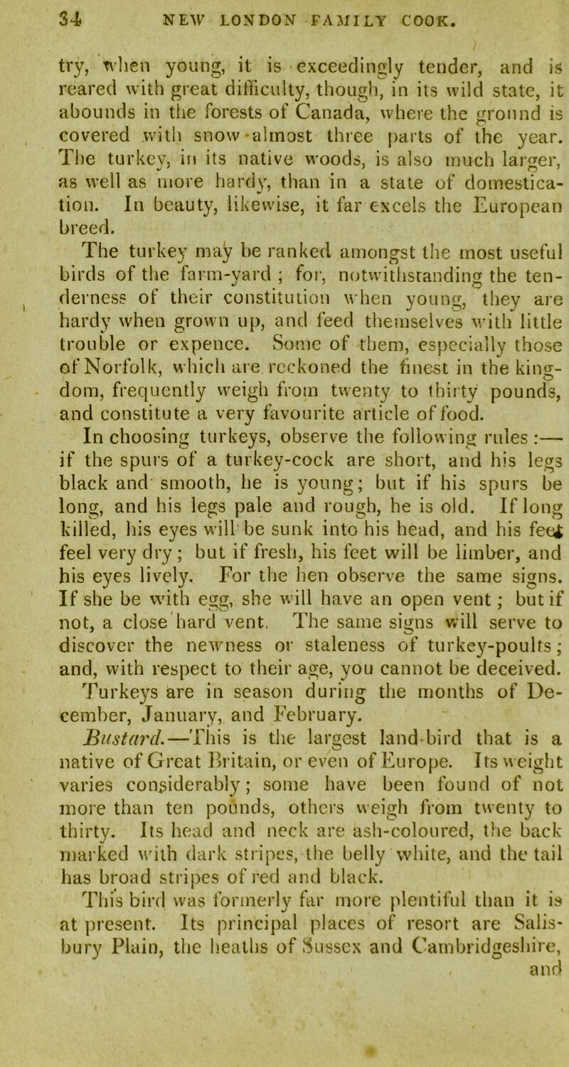 try, when young, it is exceedingly tender, and is reared with great difficulty, though, in its wild state, it abounds in the forests of Canada, where the round is covered .with snow-almost three parts of the year. The turkey, in its native woods, is also much larger, as well as more hardy, than in a state of domestica- tion. In beauty, likewise, it far excels the European breed. The turkey may be ranked amongst the most useful birds of the farm-yard ; for, notwithstanding the ten- derness of their constitution when young, they are hardy when grown up, and feed themselves with little trouble or expence. Some of them, especially those of Norfolk, which are reckoned the finest in the king- dom, frequently weigh from twenty to thirty pounds, and constitute a very favourite article of food. In choosing turkeys, observe the following rules :— if the spurs of a turkey-cock are short, and his legs black and smooth, he is young; but if his spurs be long, and his legs pale and rough, he is old. If long killed, his eyes will be sunk into his head, and his feci feel very dry; but if fresh, his feet will be limber, and his eyes lively. For the hen observe the same signs. If she be with egg, she will have an open vent; but if not, a close hard vent. The same signs will serve to discover the newness or staleness of turkey-poults; and, with respect to their age, you cannot be deceived. Turkeys are in season during the months of De- cember, January, and February. Bustard.—This is the largest land-bird that is a native of Great Britain, or even of Europe. Its weight varies considerably; some have been found of not more than ten pounds, others weigh from twenty to thirty. Its head and neck are ash-coloured, the back- marked with dark stripes, the belly white, and the tail has broad stripes of red and black. This bird was formerly far more plentiful than it is at present. Its principal places of resort are Salis- bury Plain, the heaths of Sussex and Cambridgeshire, and