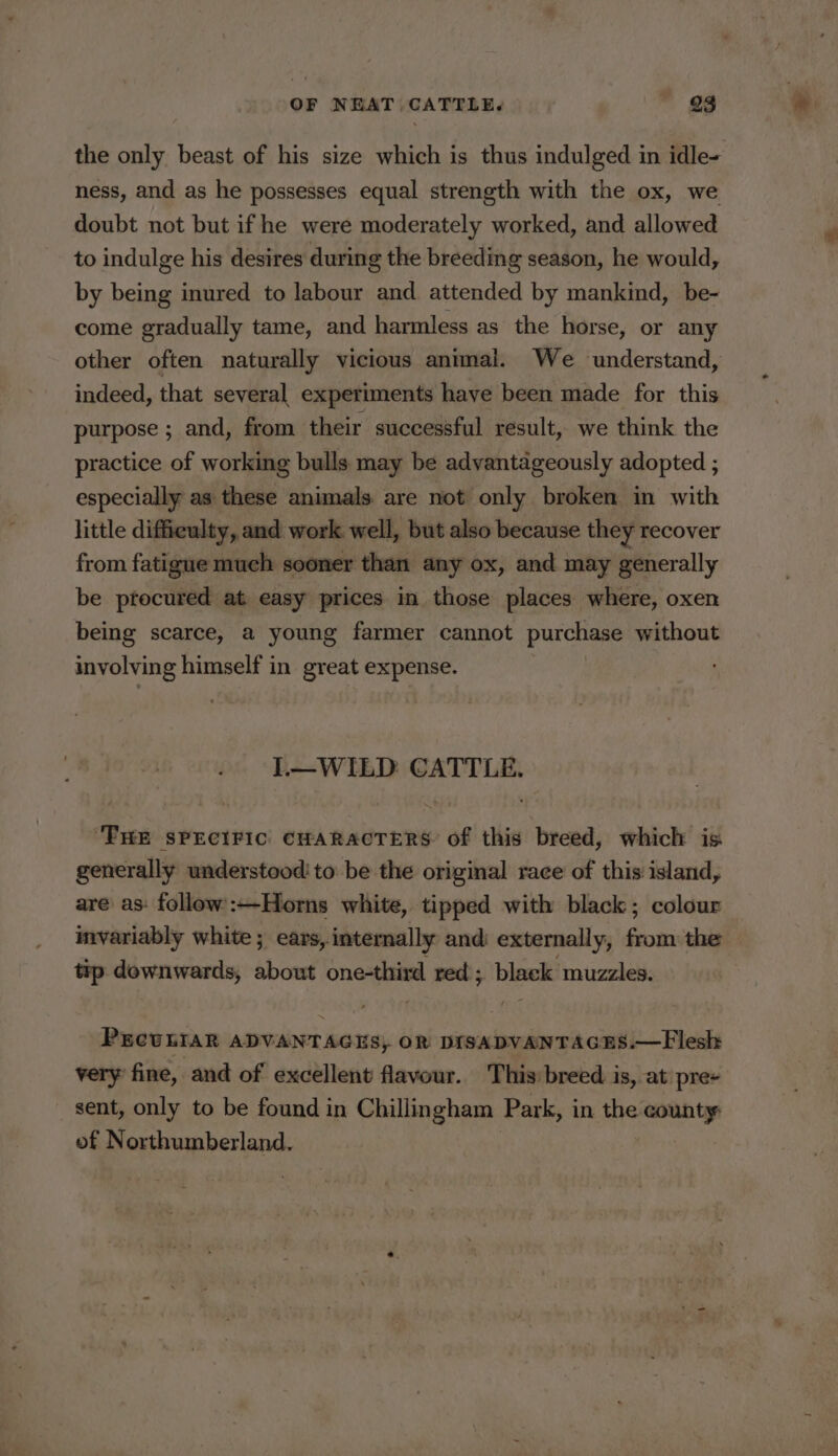 the only beast of his size which is thus indulged in idle- ness, and as he possesses equal strength with the ox, we doubt not but if he were moderately worked, and allowed to indulge his desires during the breeding season, he would, by being inured to labour and attended by mankind, be- come gradually tame, and harmless as the horse, or any other often naturally vicious animal. We understand, indeed, that several experiments have been made for this purpose ; and, from their successful result, we think the practice of working bulls may be advantageously adopted ; especially as these animals. are not only broken in with little difficulty, and work well, but also because they recover from fatigue much sooner than any ox, and may generally be ptocured at easy prices in those places where, oxen being scarce, a young farmer cannot purchase without involving himself in great sis ig I.—WILD CATTLE. “THE SPECIFIC CHARACTERS of this breed, which is generally understood! to be the original race of this island, are as: follow:—Horns white, tipped with black; colour invariably white; ears, internally and: externally, from the tip downwards, about one-third red’; black muzzles. PECULIAR ADVANTAGES, OR DISADVANTAGES.—Flesh very fine, and of excellent flavour. This breed is, at pre- _ sent, only to be found in Chillingham Park, in the county: of Northumberland,