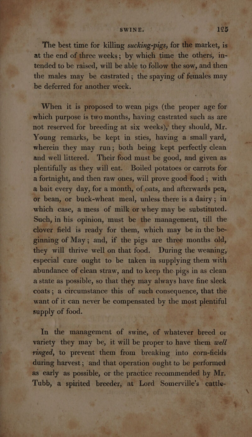 The best time for killing sucking-pigs, for the market, is at the end of three weeks; by which time the others, in- tended to be raised, will be able to follow the sow, and then the males may be castrated ; the spaying of females may be deferred for another week. : When it is proposed to wean pigs (the proper age for which purpose is two months, having castrated such as are not reserved for breeding at six weeks), they should, Mr. Young remarks, be kept in sties, having a small yard, wherein they may run; both being kept perfectly clean and well littered. Their food must be good, and given as plentifully as they will eat. Boiled potatoes or carrots for a fortnight, and then raw ones, will prove good food ; with a bait every day, for a month, of oats, and shee eee or bean, or buck-wheat meal, unless there is a dairy ; Such, in his opinion, must be the management, till the clover field is ready for them, which may be in the be- ginning of May; and, if the pigs are three months old, they will thrive well on that food. During the weaning, especial care ought to be taken in supplying them with abundance of clean straw, and to keep the. pigs in as clean a state as possible, so that they may always have fine sleek coats; a circumstance this of such consequence, that the want of it can never be compensated by the most oS ain supply of food. In the management of swine, of whatever breed or variety they may be, it will be proper to have them well ringed, to prevent them from breaking into corn-fields during harvest ; ‘and that operation ought to be performed. as early as possible, or the practice recommended by Mr, Tubb, a spirited breeder, at Lord Somerville’s cattle-