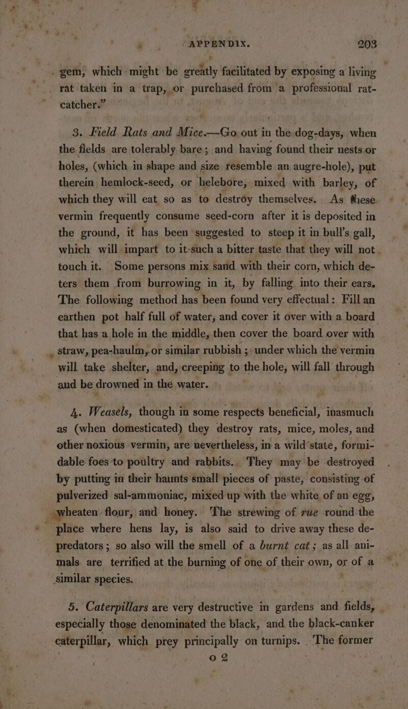 . gem, which might be greatly facilitated by exposing a living _. rat taken in a trap, or purchased from a professional rat- catcher.” | 3. Field Rats and Mice.—Go out in the dog-days, when the fields are tolerably bare; and having found their nests or holes, (which in shape and size resemble an augre-hole), put therein hemlock-seed, or helebore, mixed with barley, of which they will eat so as to destroy themselves. As these. vermin frequently consume seed-corn after it is deposited in the ground, it has been suggested to steep it in bull’s gall, which will impart to it-such a bitter taste that they will not . touch it. Some persons mix sand with their corn, which de- ters them from burrowing in it, by falling into their ears. The following method has been found very effectual: Fill an earthen pot half full of water, and cover it over with a board that has a hole in the middle, then cover the board over with _ straw, pea-haulm, or similar rubbish ; under which the vermin will take shelter, and, creeping | to the nels will fall sproneh and be drowned i in the water. | 4,. Weasels, though in some respects beneficial, inasmuch as (when domesticated) they destroy rats, mice, moles, and other noxious vermin, are nevertheless, in a wild’state, formi- dable foes to poultry and rabbits. They may be destroyed by putting in their haunts small pieces of paste, consisting of - pulverized sal-ammoniac, mixed up with the white of an egg, wheaten flour, and honey. The strewing of rue round the place where hens lay, is also said to drive away these de- predators ; so also will the smell of a burnt cat; as all ani- mals are terrified at the burning of one of their own, or of a Apiilag species. 5. Caterpillars are very destructive in gardens and fields, especially those denominated the black, and the black-canker caterpillar, which prey principally on turnips. ‘The former 0 2
