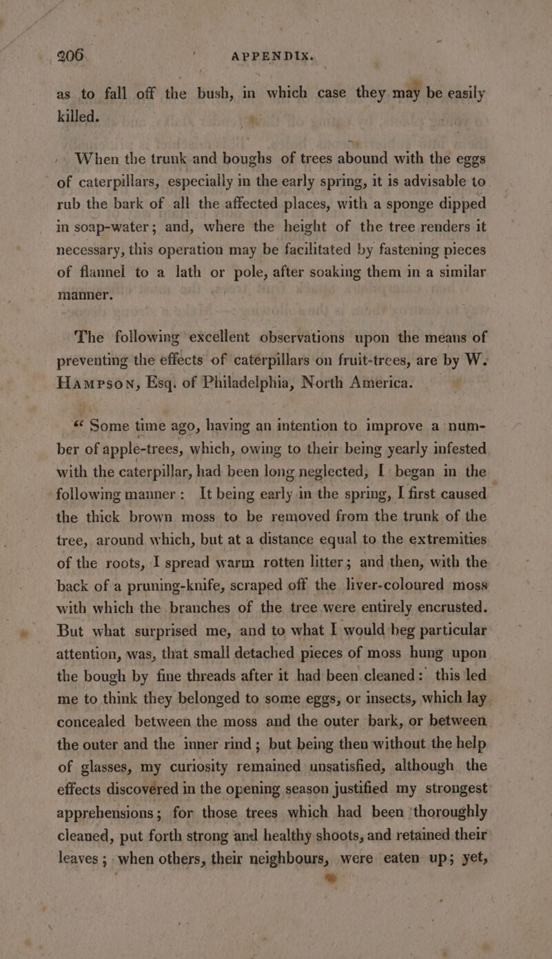 as to fall off the bush, in “oleeh case they may be easily killed. /. When the trunk and boughs of trees abound with the eggs of caterpillars, especially im the early spring, it is advisable to rub the bark of all the affected places, with a sponge dipped in soap-water; and, where the height of the tree renders it necessary, this operation may be facilitated by fastening pieces of flannel to a lath or pole, after soaking them in a similar manner. | The following excellent observations upon the means of preventing the effects of caterpillars on fruit-trees, are by W. Hampson, Esq. of einai North America. « Penis time ago, having an intention to improve a num- ber of apple-trees, which, owing to their being yearly infested with the caterpillar, had been long neglected, [ began in the following manner: It being poy in the spring, I first caused ? the thick brown moss to be removed from the trunk of the tree, around which, but at a distance equal to the extremities of the roots, I spread warm rotten litter; and then, with the back of a pruning-knife, scraped off the liver-coloured moss with which the branches of the tree were entirely encrusted. But what surprised me, and to what I would heg particular attention, was, that small detached pieces of moss hung upon the bough by fine threads after it had been cleaned: this led me to think they belonged to some eggs, or insects, which lay concealed between the moss and the outer bark, or between the outer and the inner rind; but being then without the help of glasses, my curiosity remained unsatisfied, although the effects discovered in the opening season justified my strongest apprehensions; for those trees which had been ‘thoroughly cleaned, put forth strong and healthy shoots, and retained their leaves ; when others, their neighbours, were eaten up; yet, . %